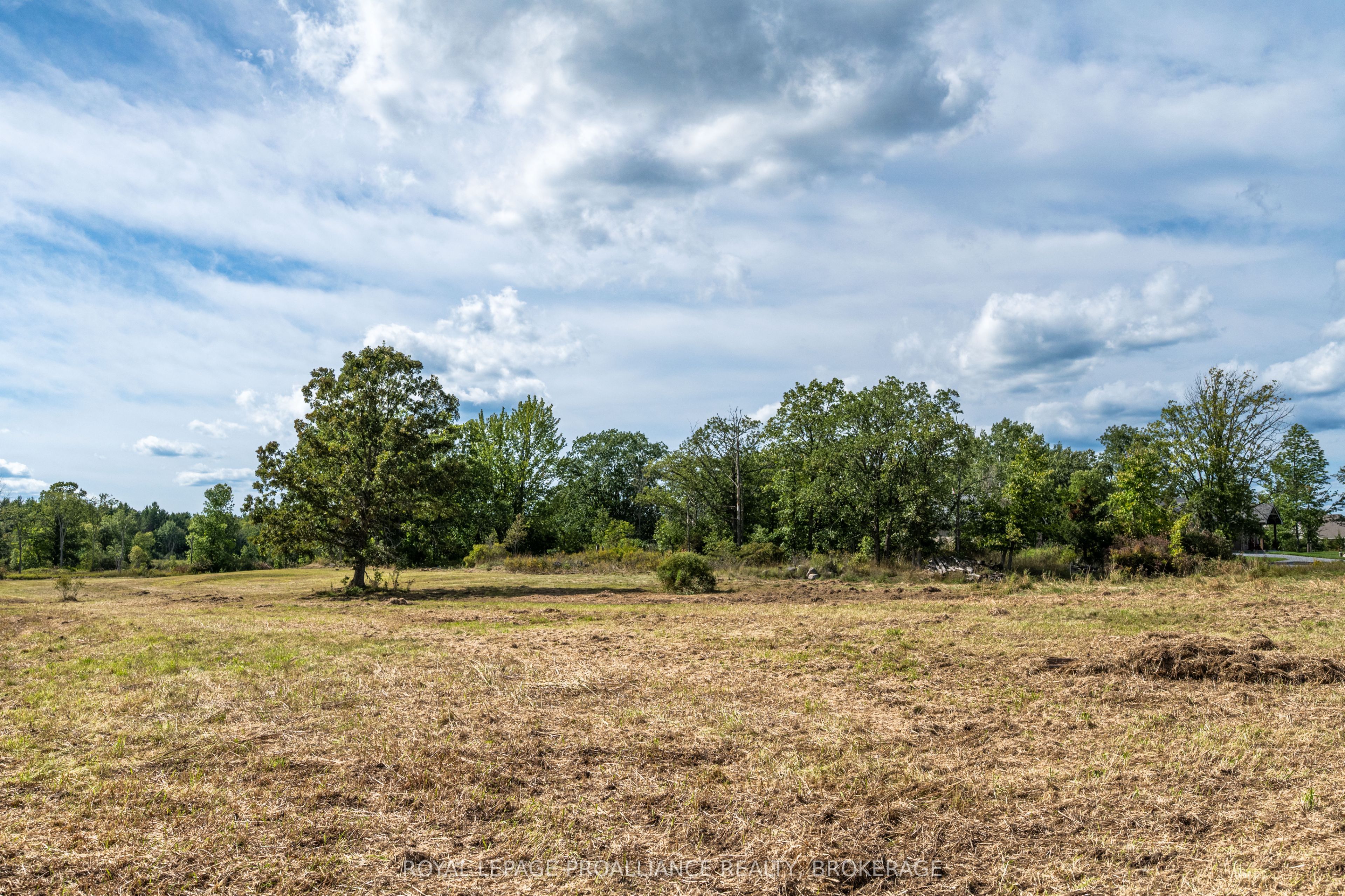 Lot 16 Snider Road Property Photo 5
