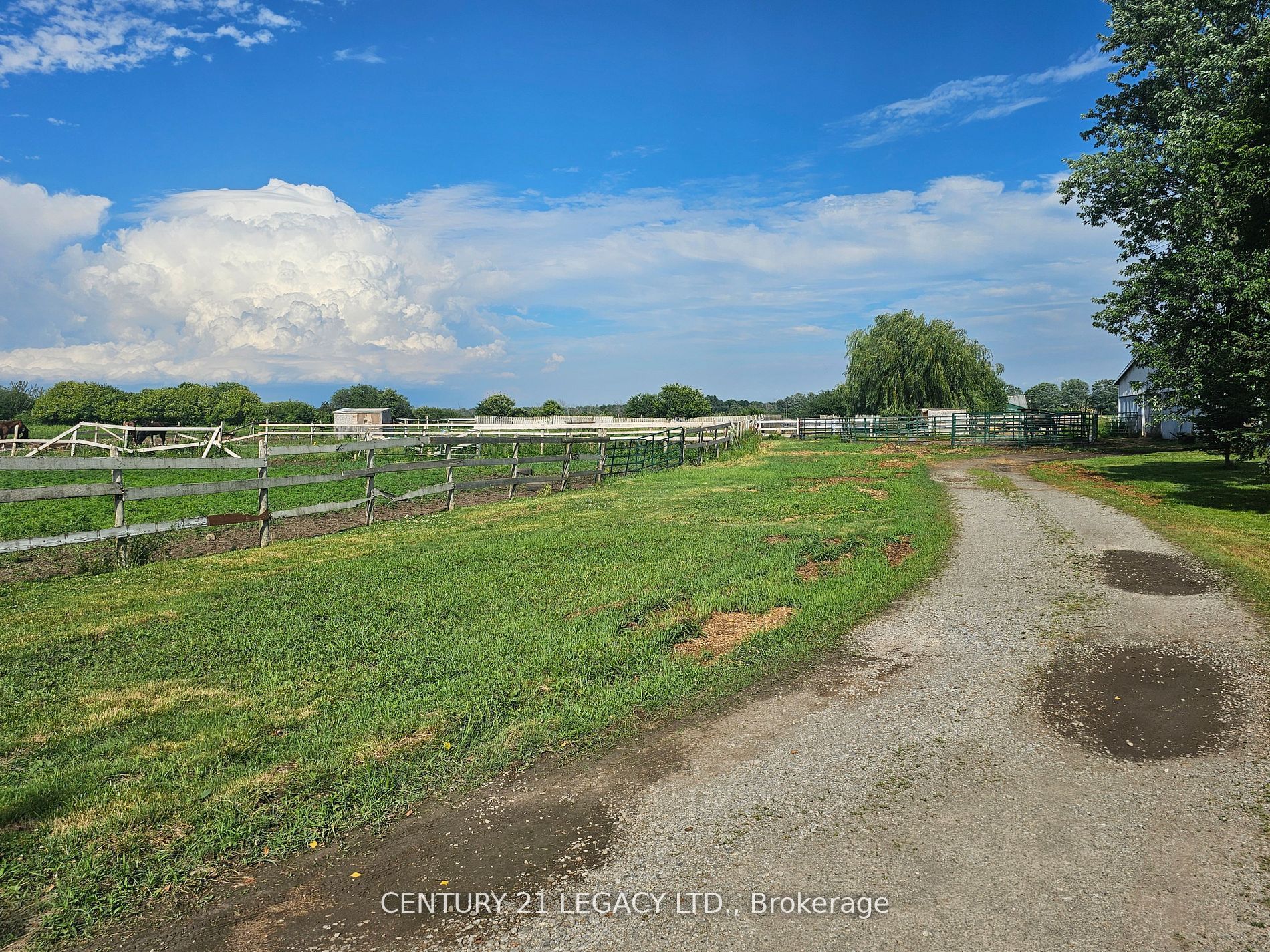 2569 Bertie Road Property Photo 3