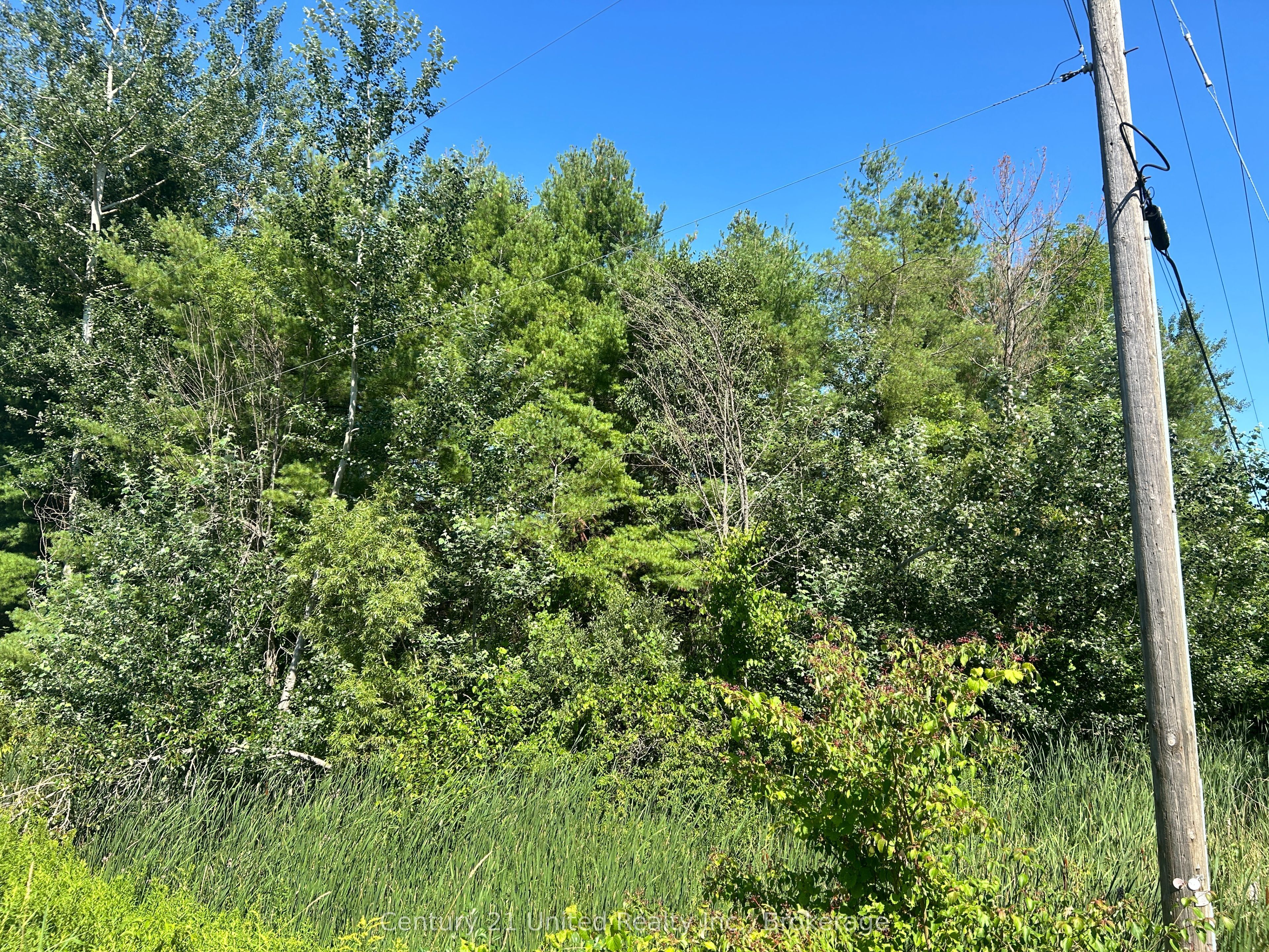 0 Concession Rd 4 W Property Photo 2