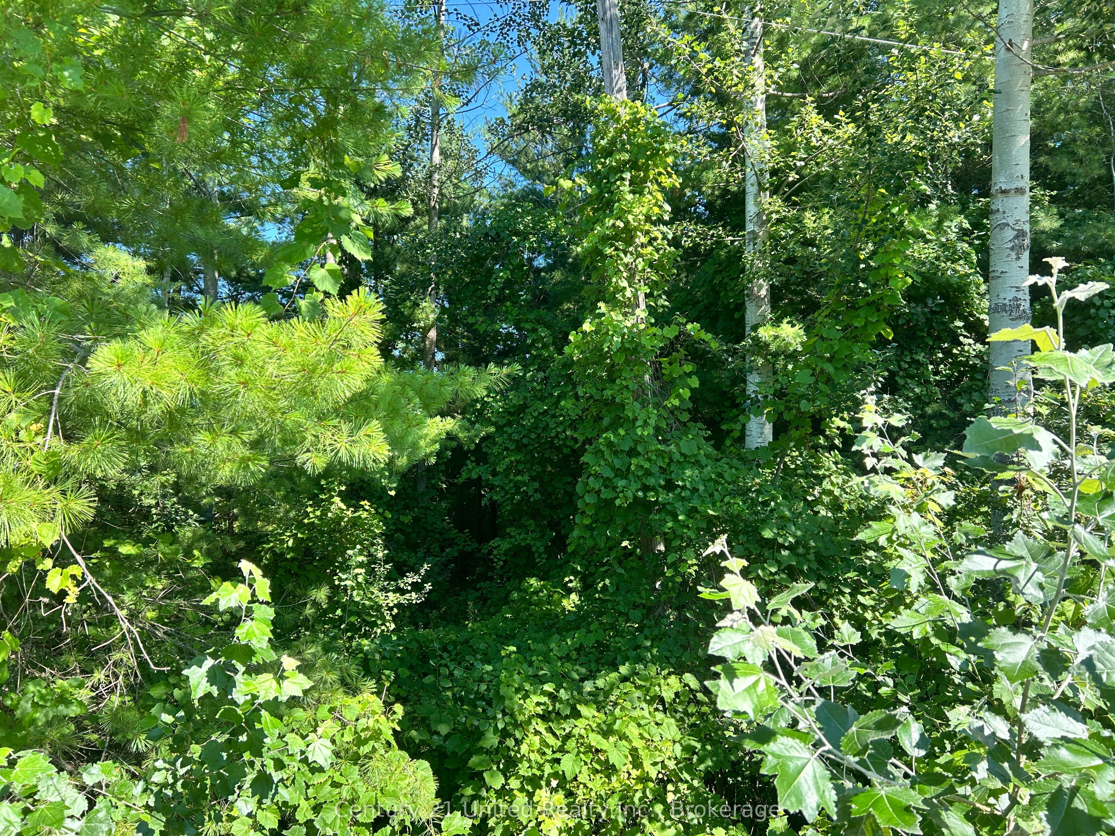 0 Concession Rd 4 W Property Photo 3