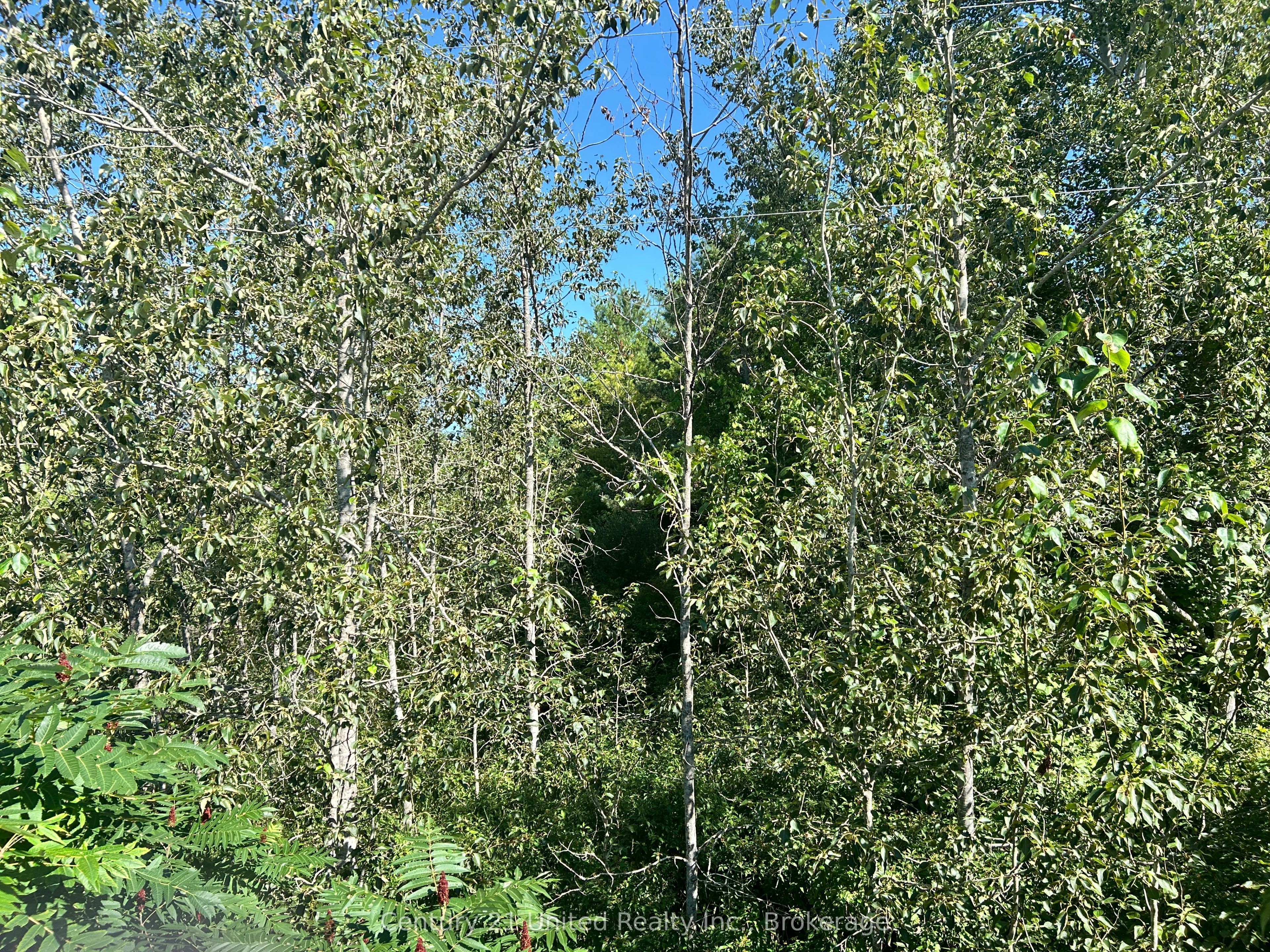 0 Concession Rd 4 W Property Photo 4