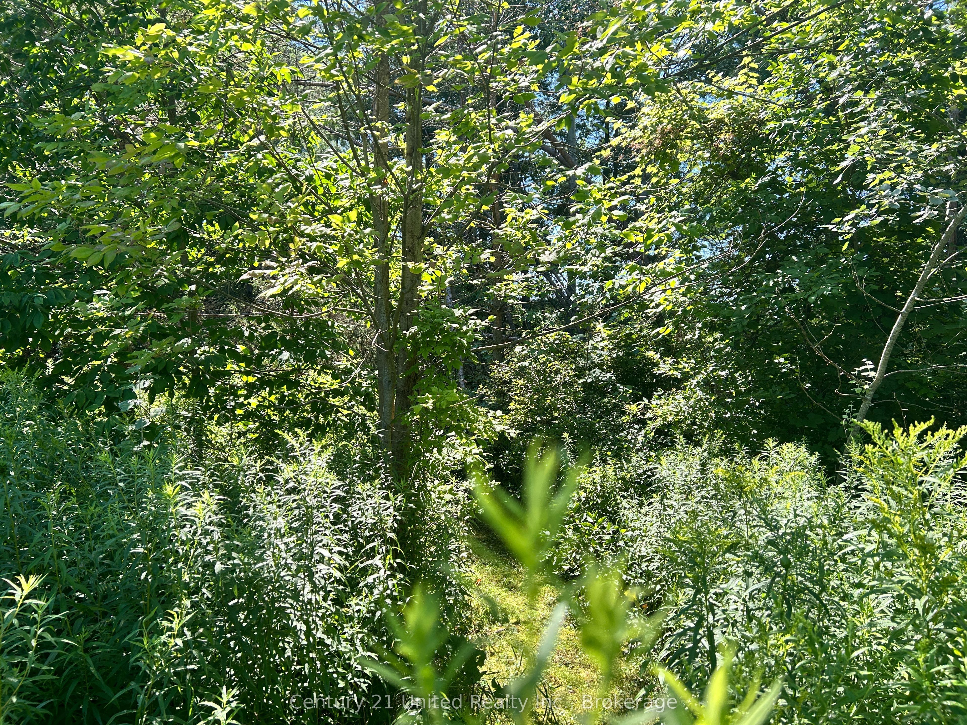 0 Concession Rd 4 W Property Photo 5