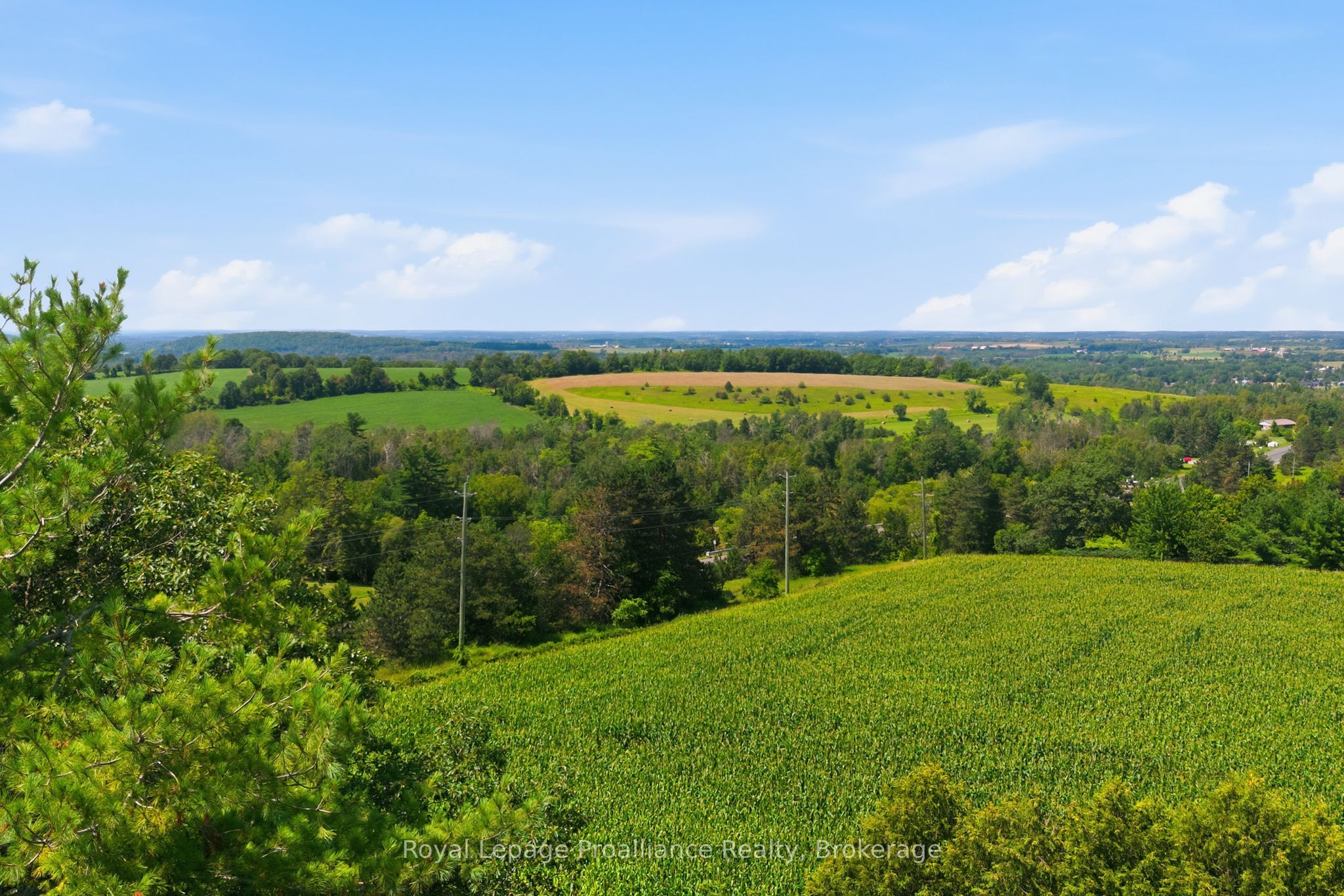 1698 Foxboro-stirling Road Property Photo 47