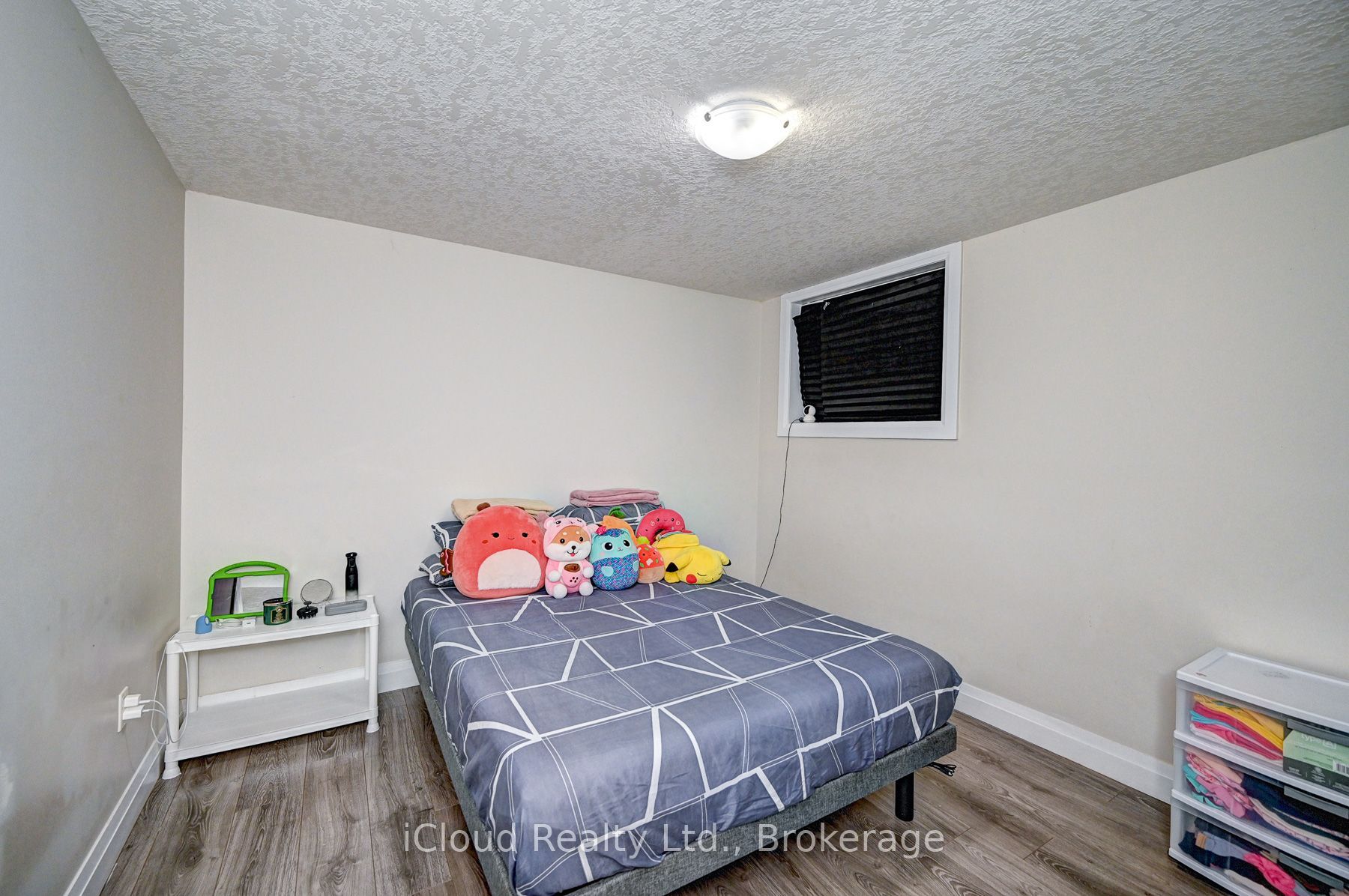 65 Arkell Road Bsmt Property Photo 19