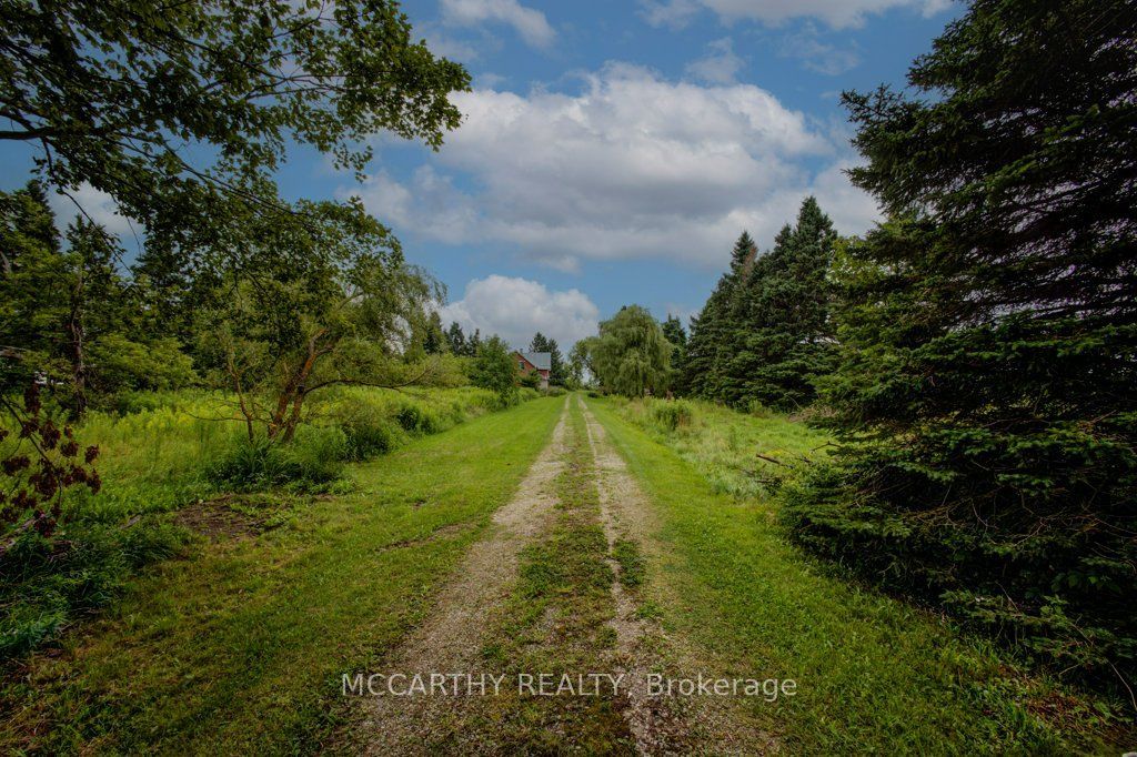 116239 2nd Line S Property Photo 11