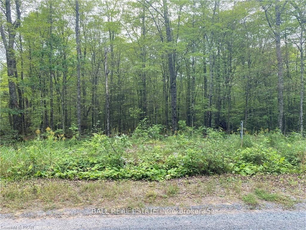 N/a Pcl 45-2 Sec M63 Road Property Photo 3