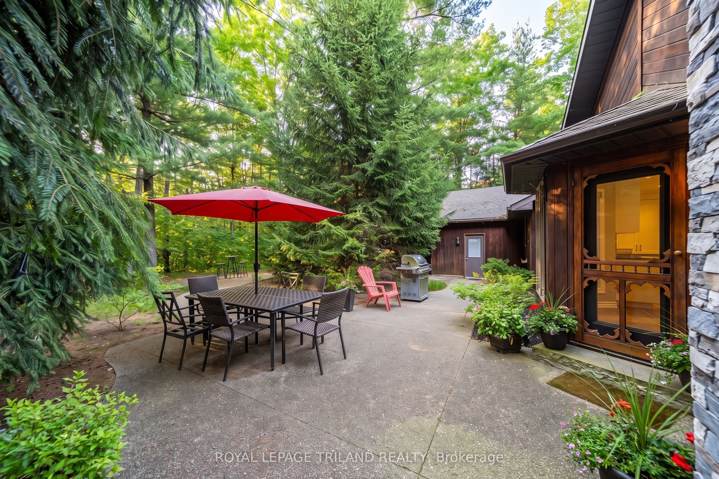 10498 Pinetree Drive Property Photo 45