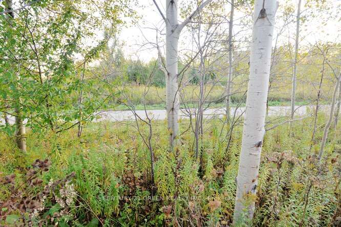 150 Winters Way Property Photo 50