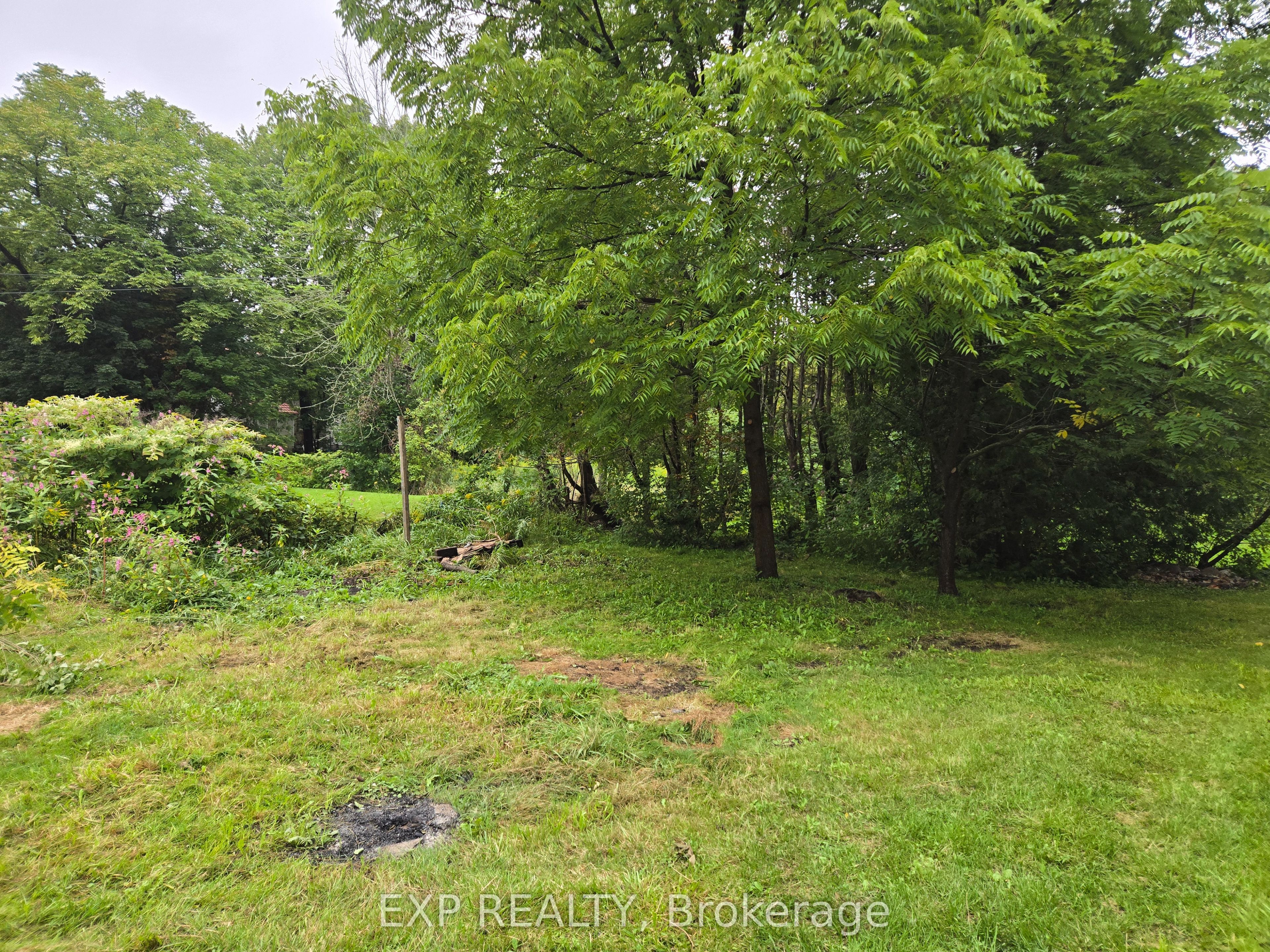 348 Frank Street Property Photo 16