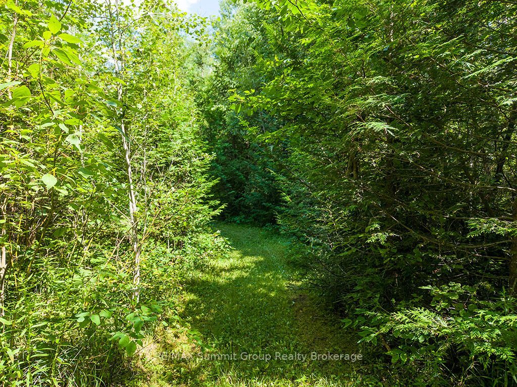 413669 Road 41a Property Photo 36