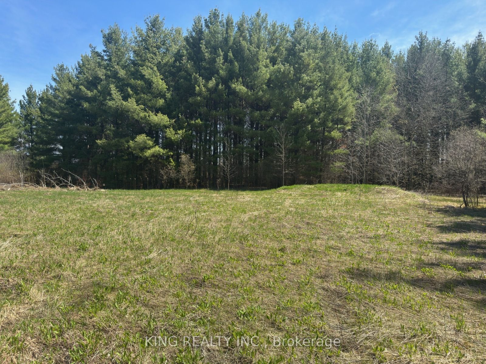 6081 Hwy 89 Property Photo 1