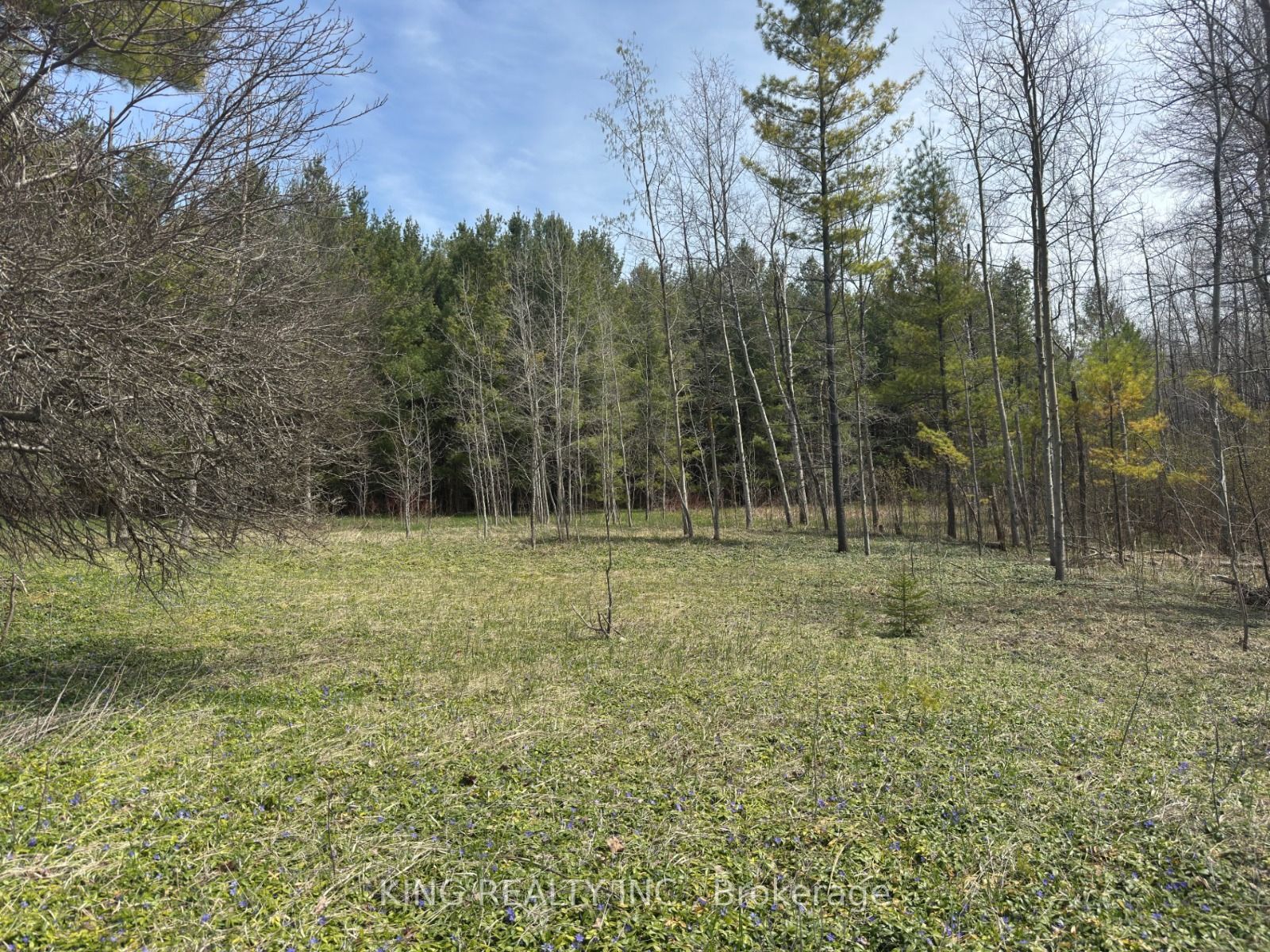 6081 Hwy 89 Property Photo 3