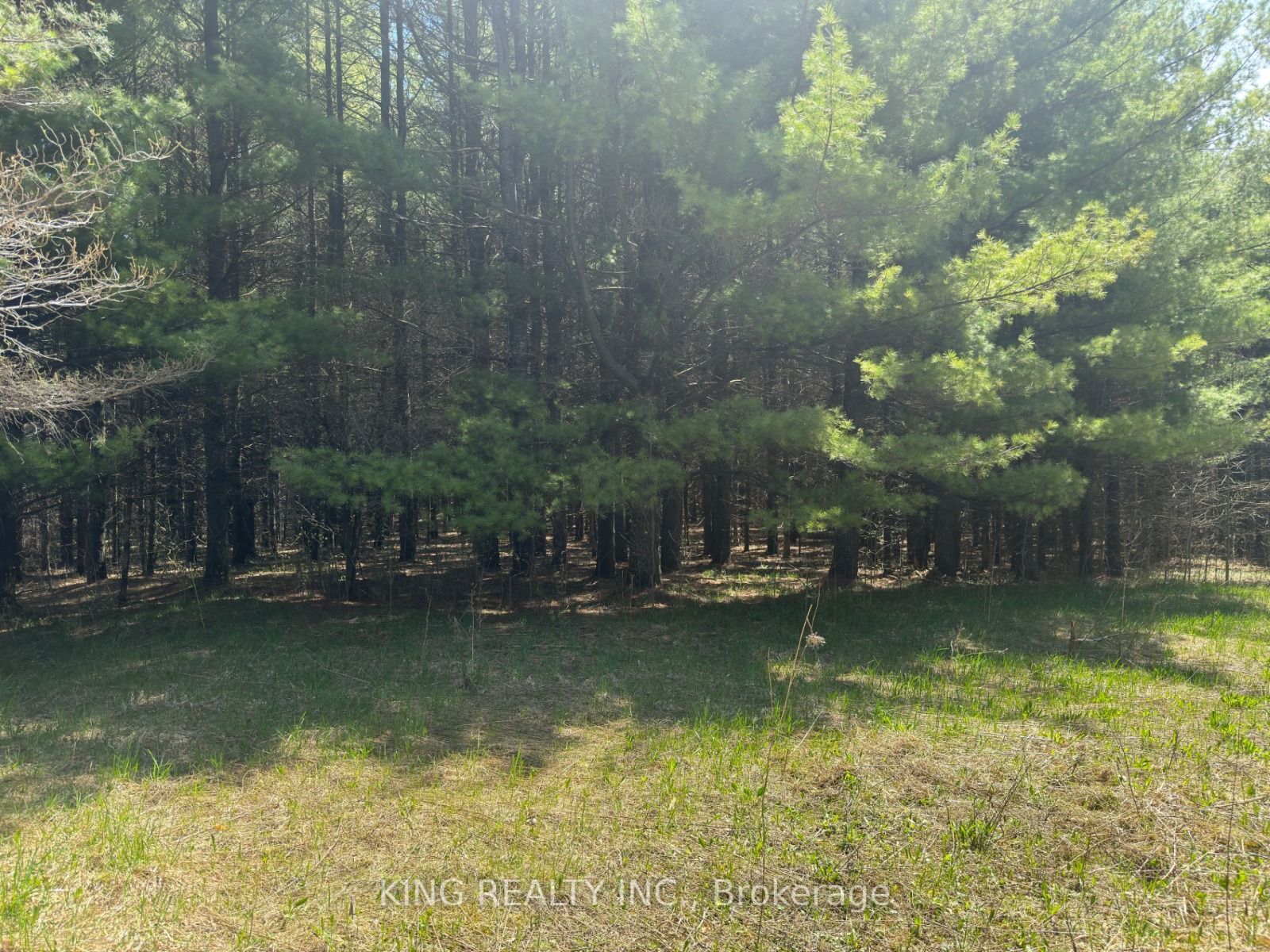 6081 Hwy 89 Property Photo 4