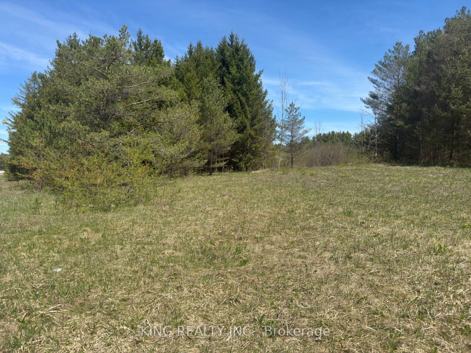6081 Hwy 89 Property Photo 5