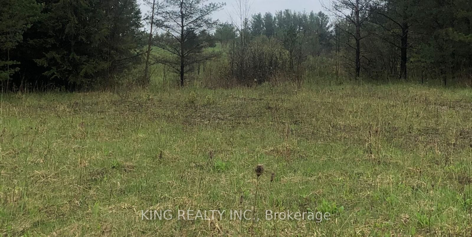 6081 Hwy 89 Property Photo 6