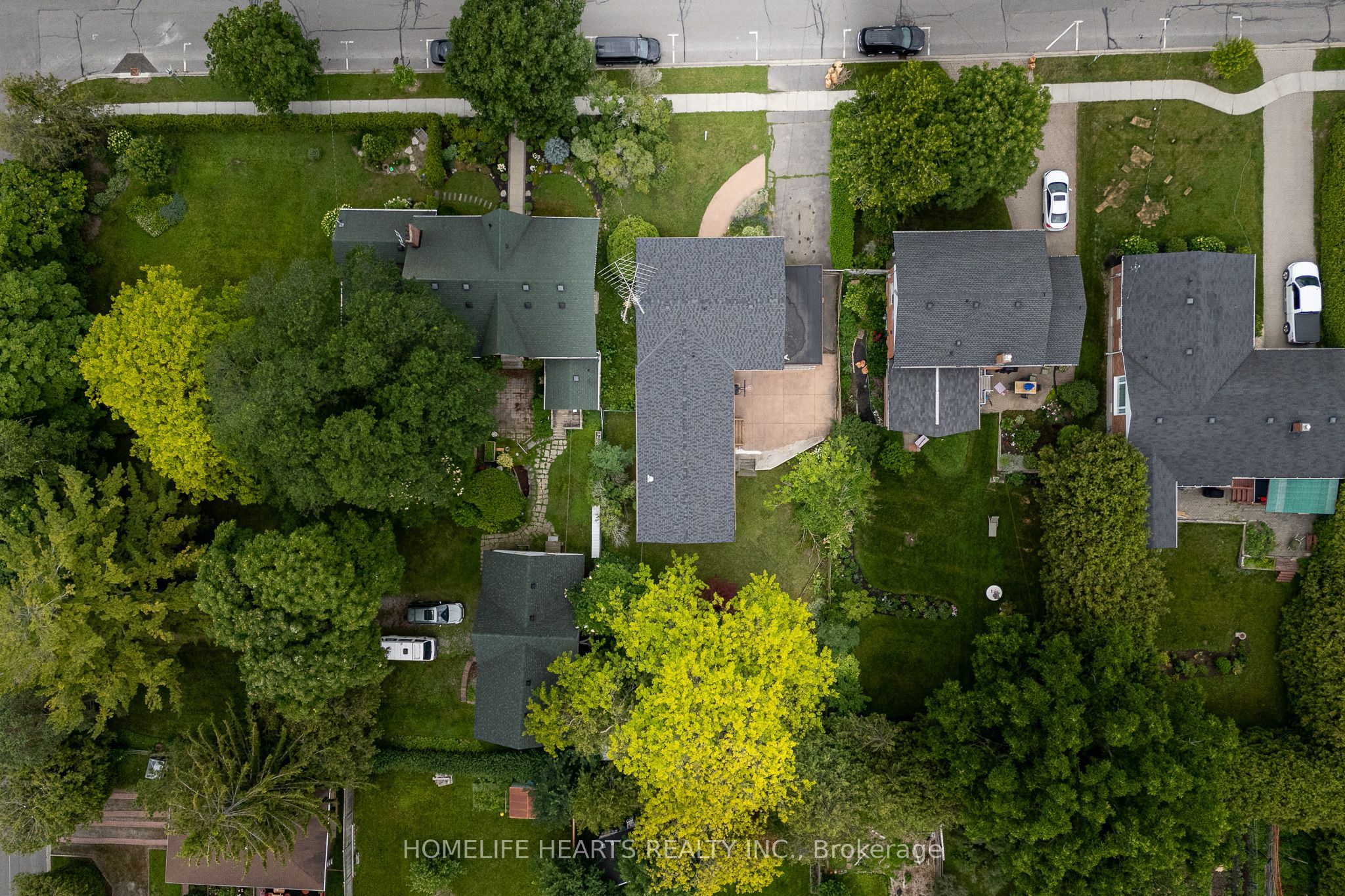 227 Queen Street Property Photo 6