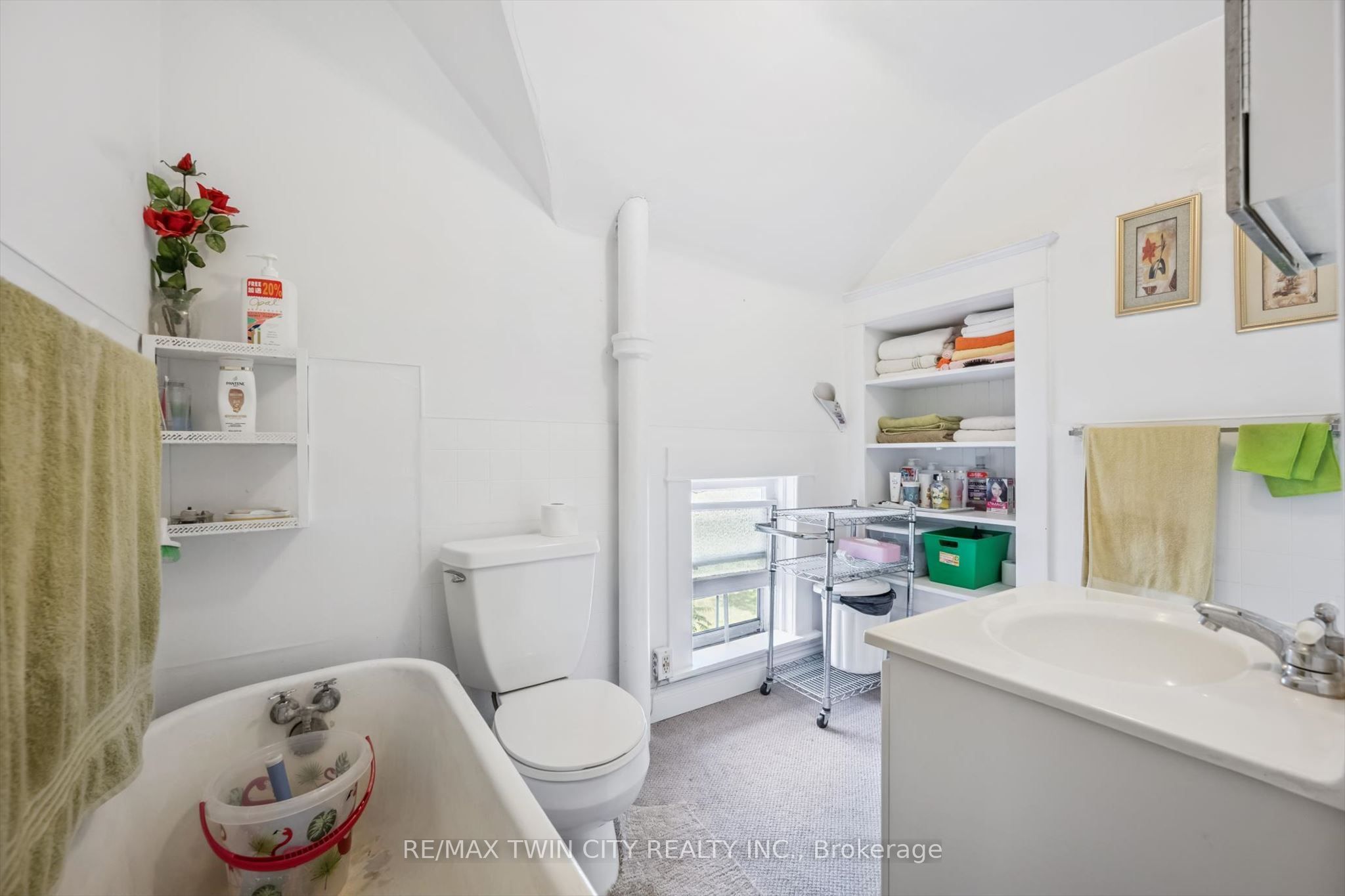 44 Walter Street Property Photo 29