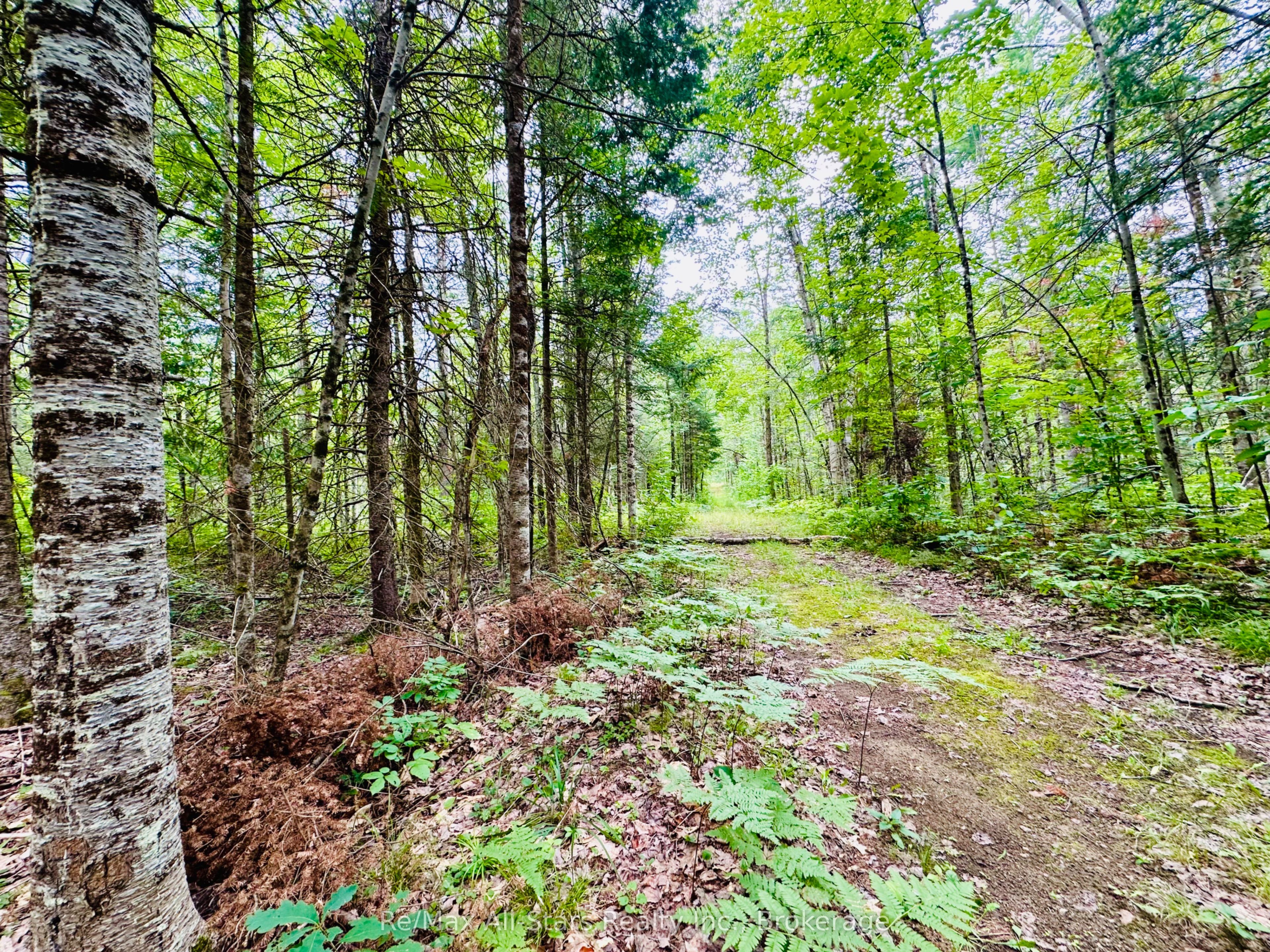 7140 Highway 28 Property Photo 25