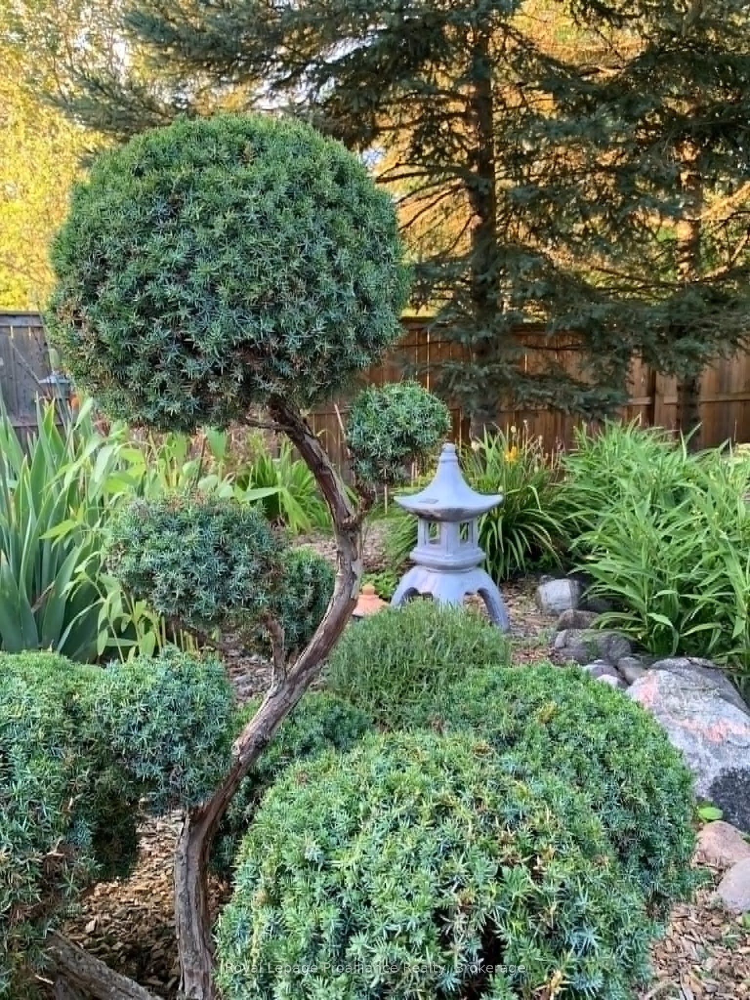 157 Norway Street Property Photo 29