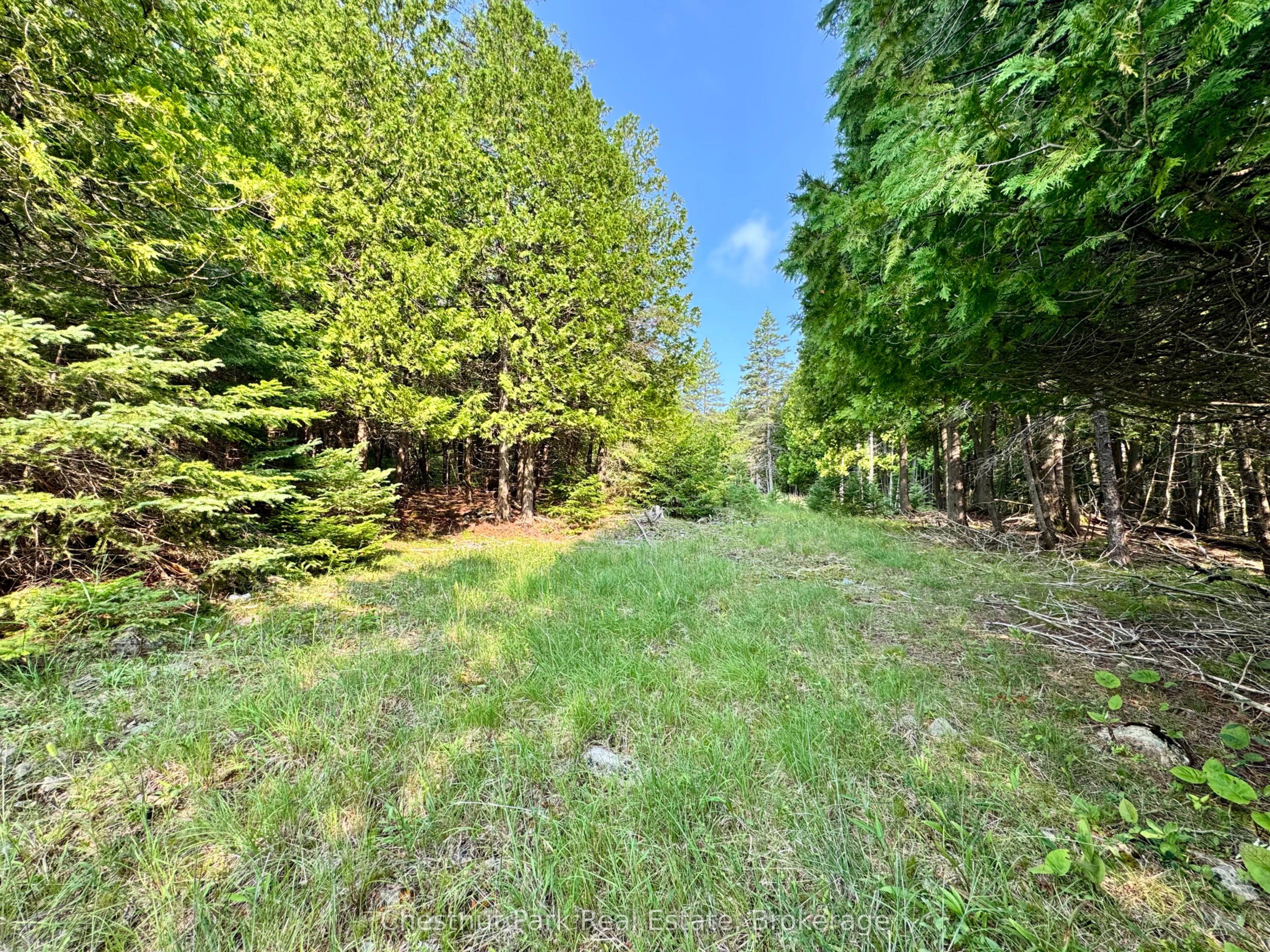 Pt Lt 6 Pike Bay Road Property Photo 13