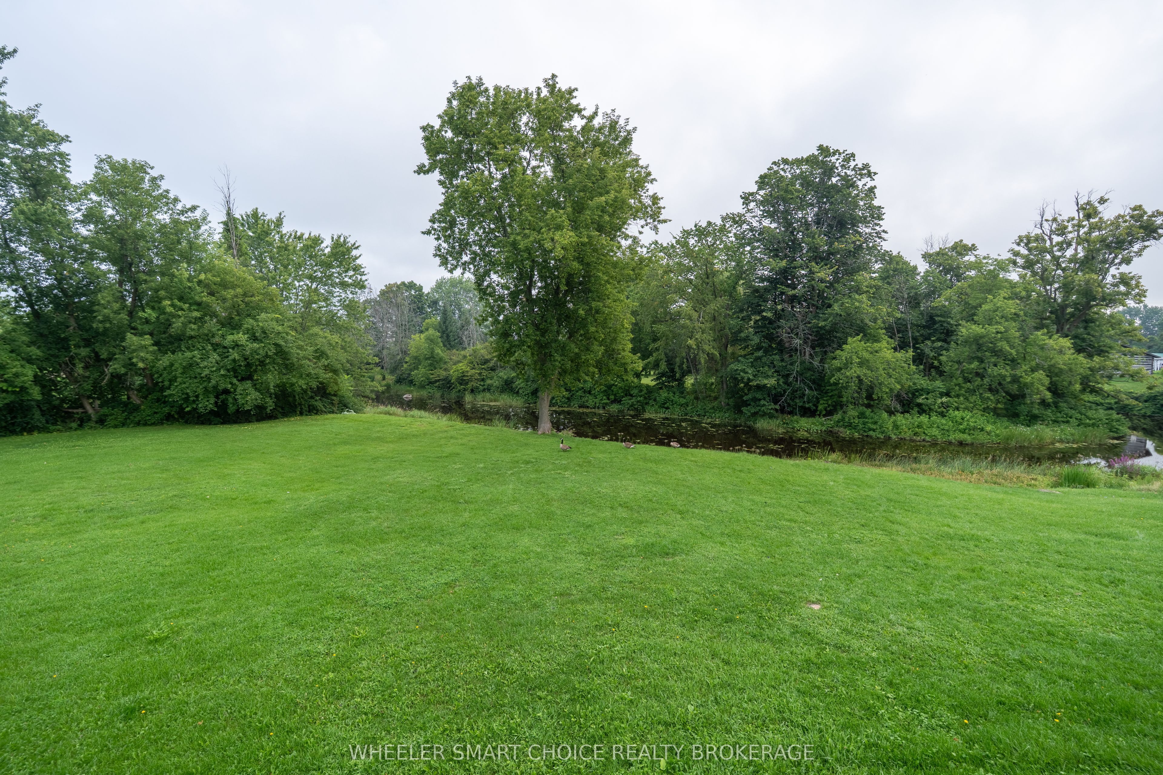 17295 County Rd 18 Road Property Photo 22