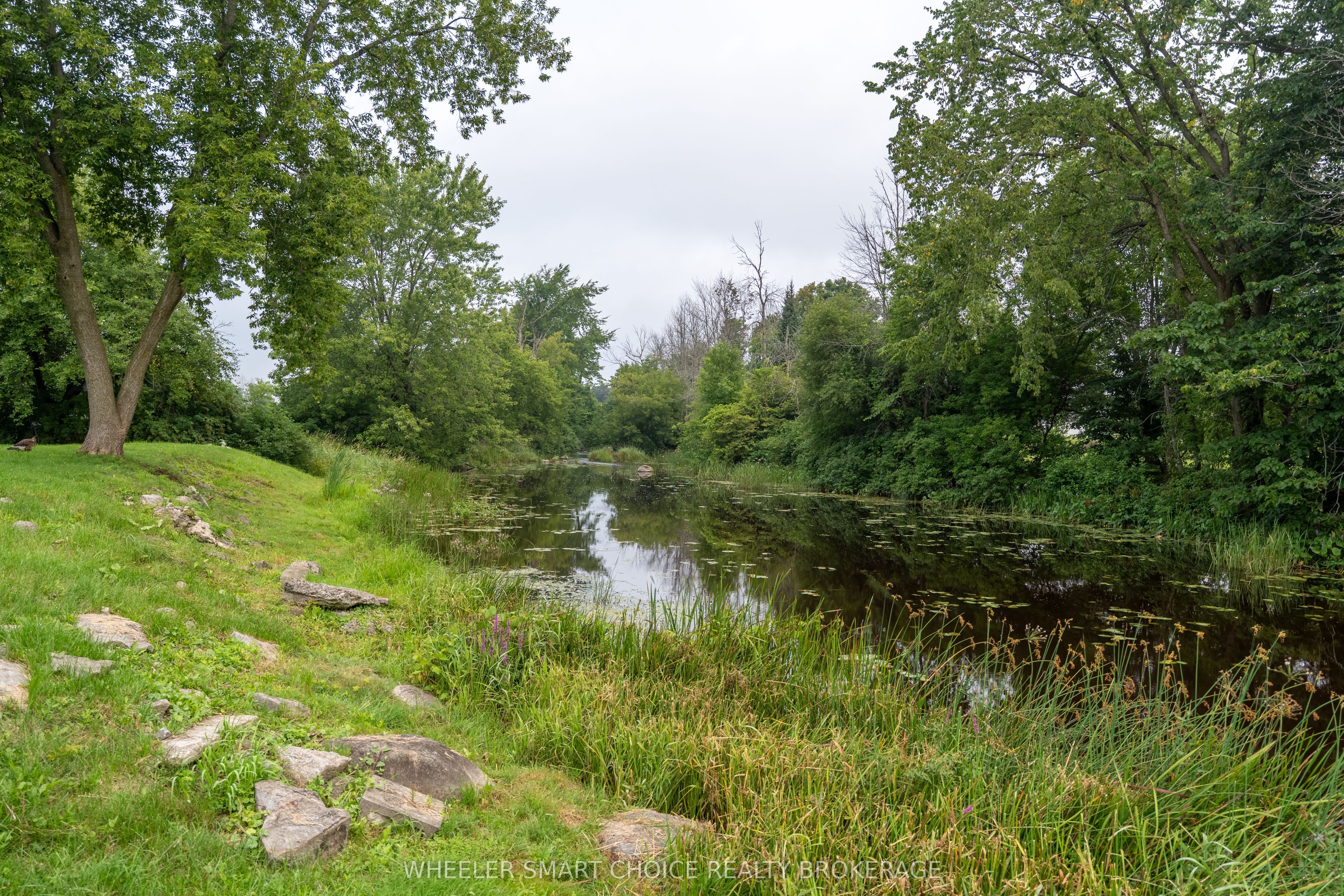 17295 County Rd 18 Road Property Photo 25