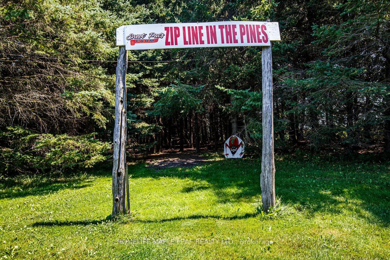 333329 7th Line Property Photo 41