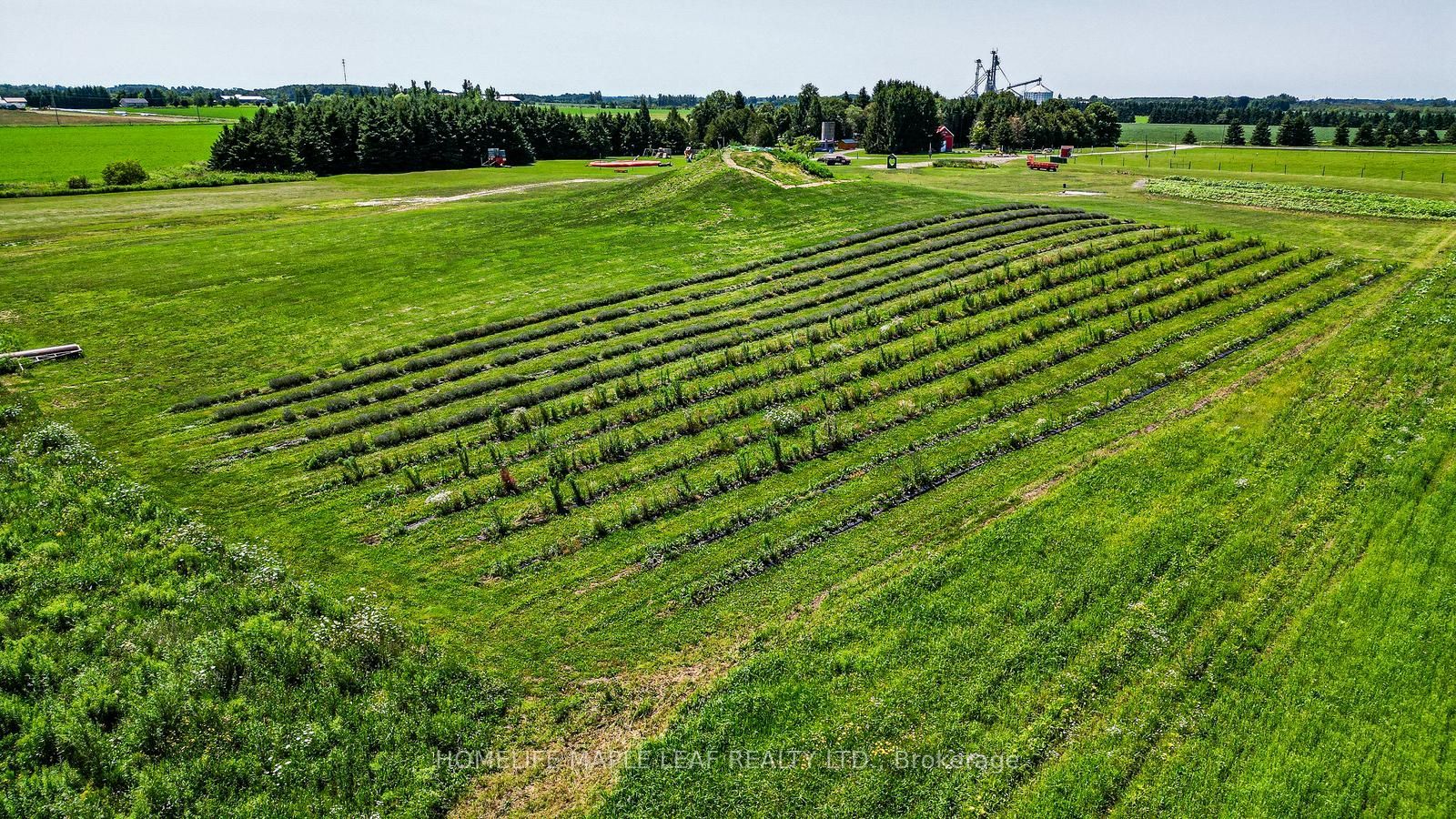 333329 7th Line Property Photo 49