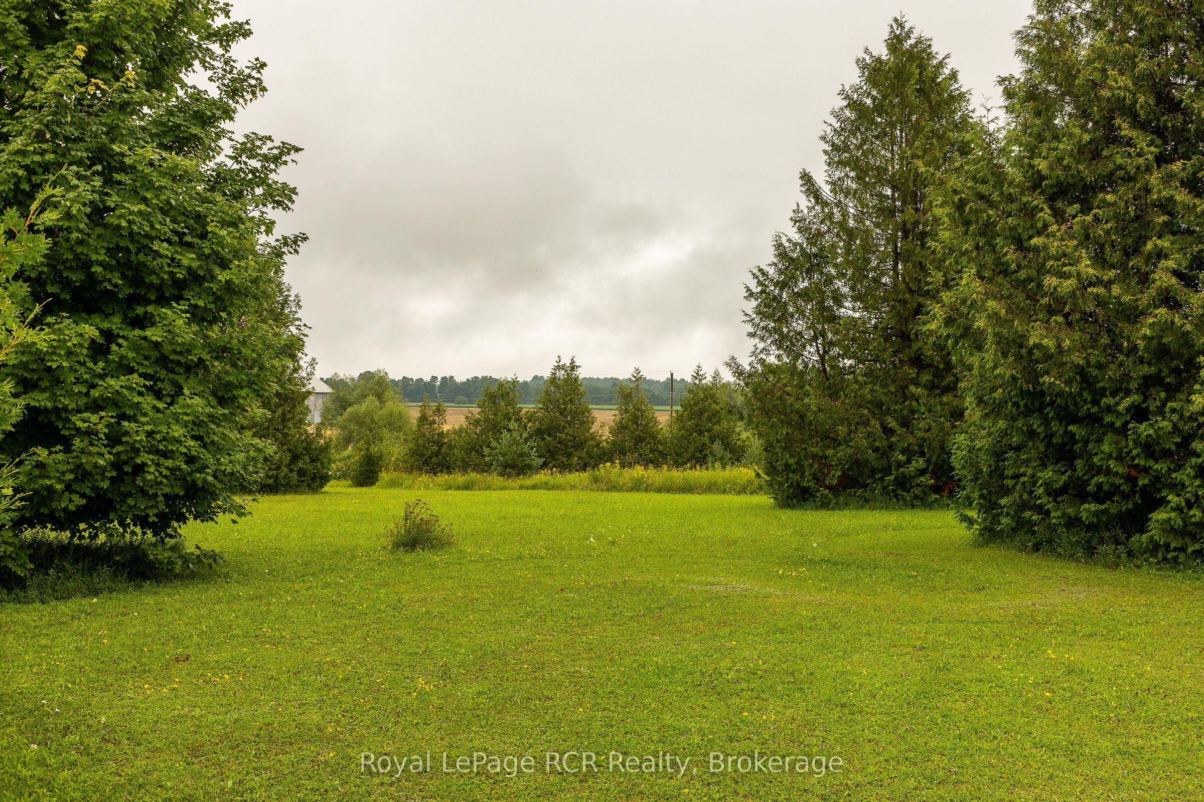 613154 Sideroad 50 Property Photo 29