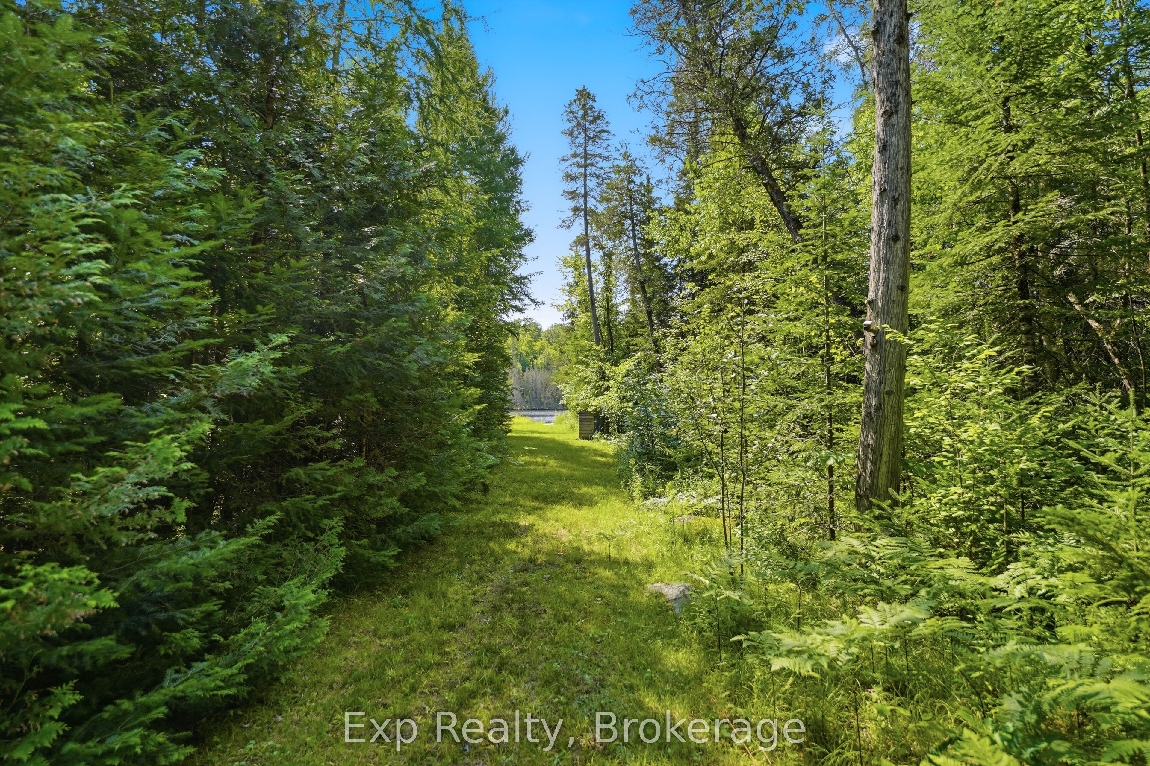 5164 Arden Road Property Photo 34