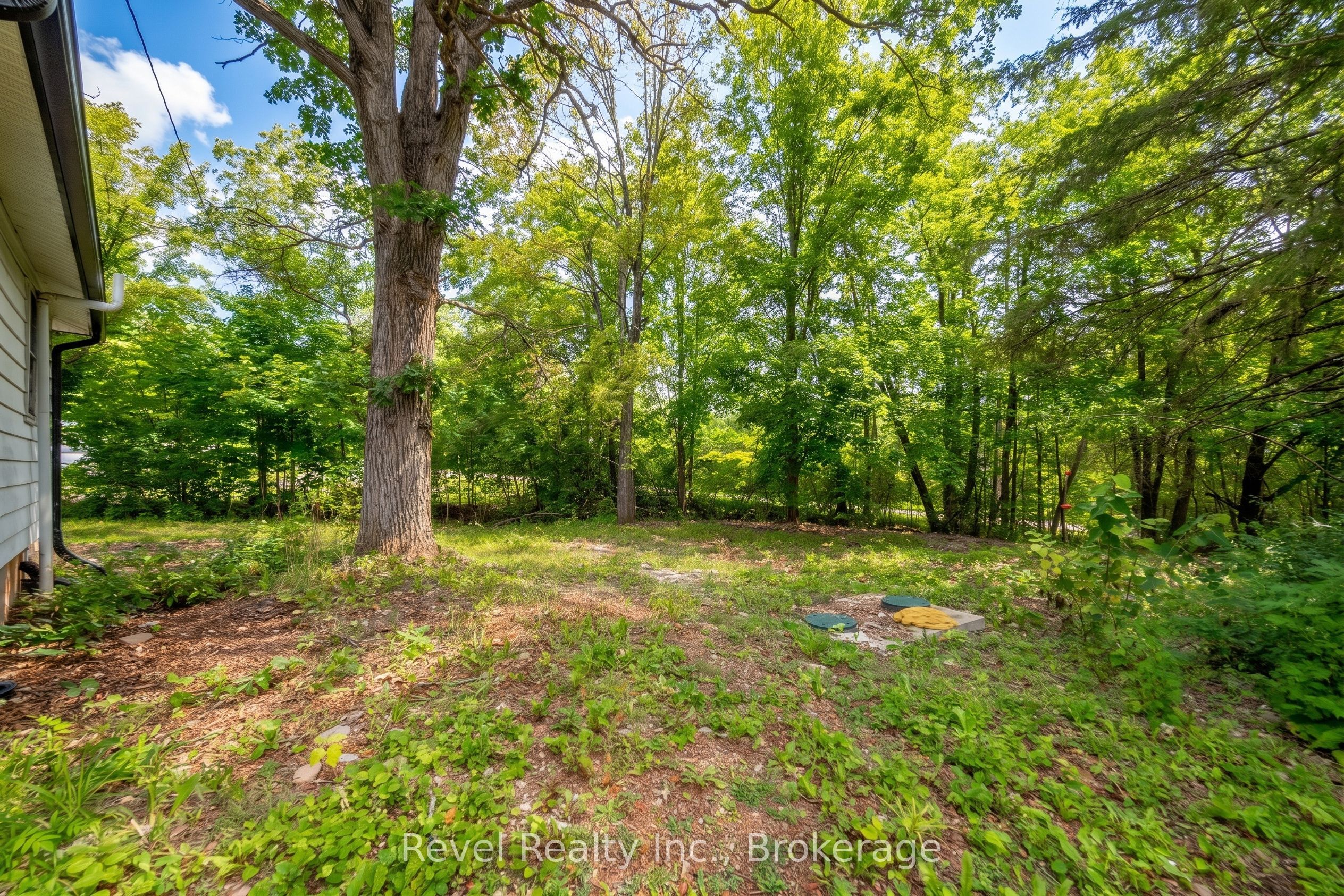 4 Gypsy Point Road Property Photo 12