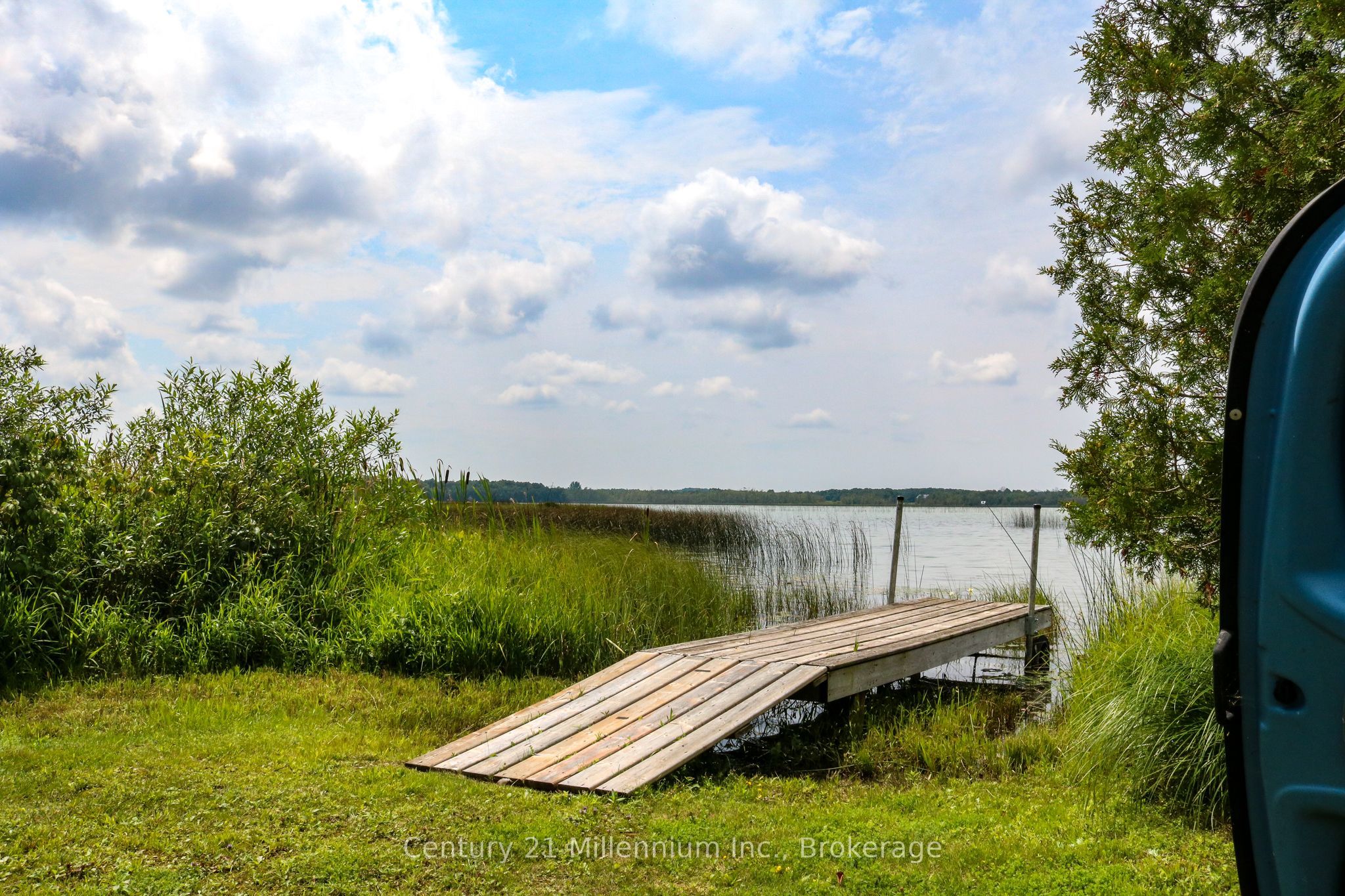 126 Almur Drive Property Photo 45