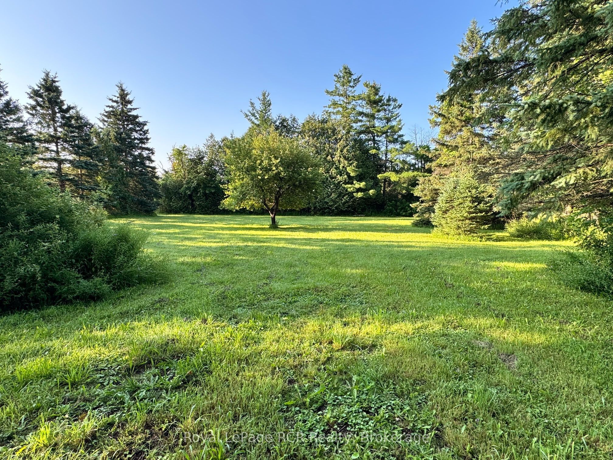 315134 Highway 6 Property Photo 37