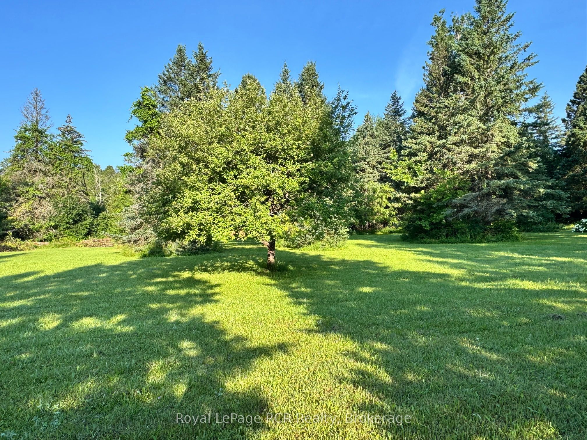 315134 Highway 6 Property Photo 39