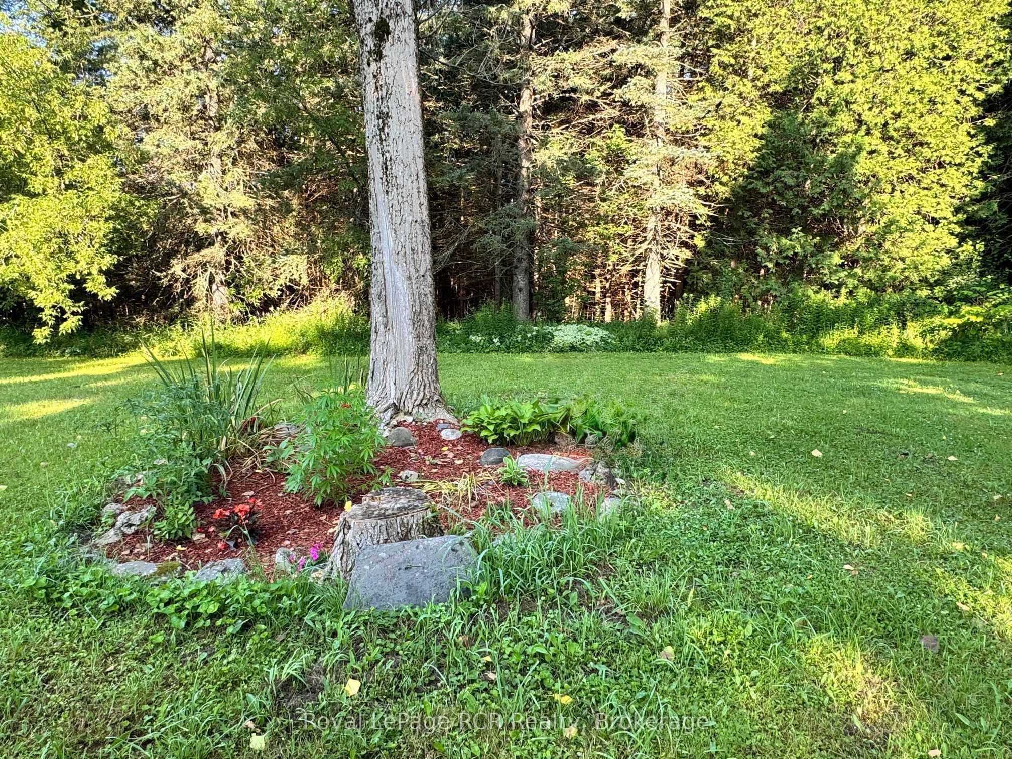 315134 Highway 6 Property Photo 46