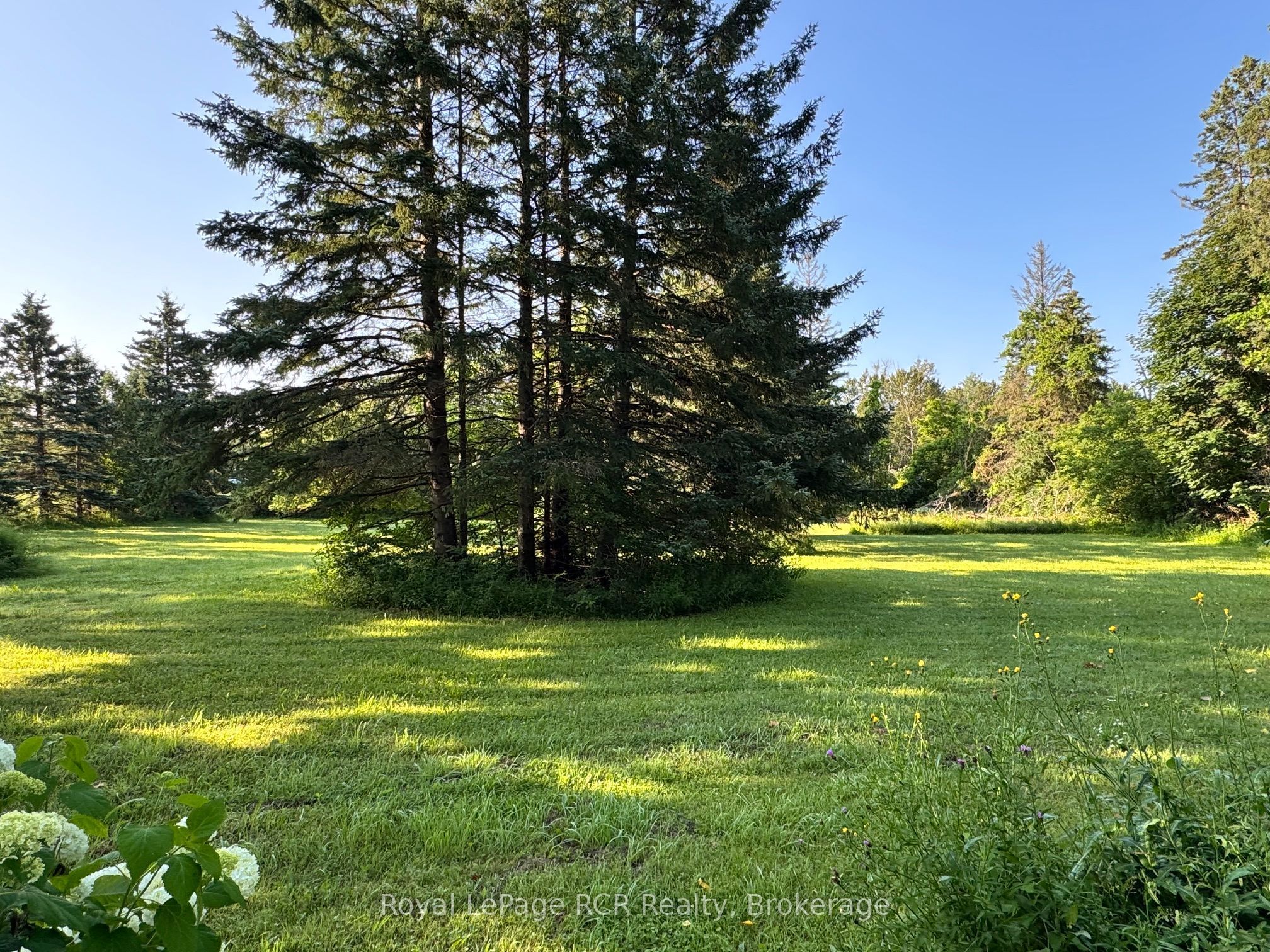 315134 Highway 6 Property Photo 47