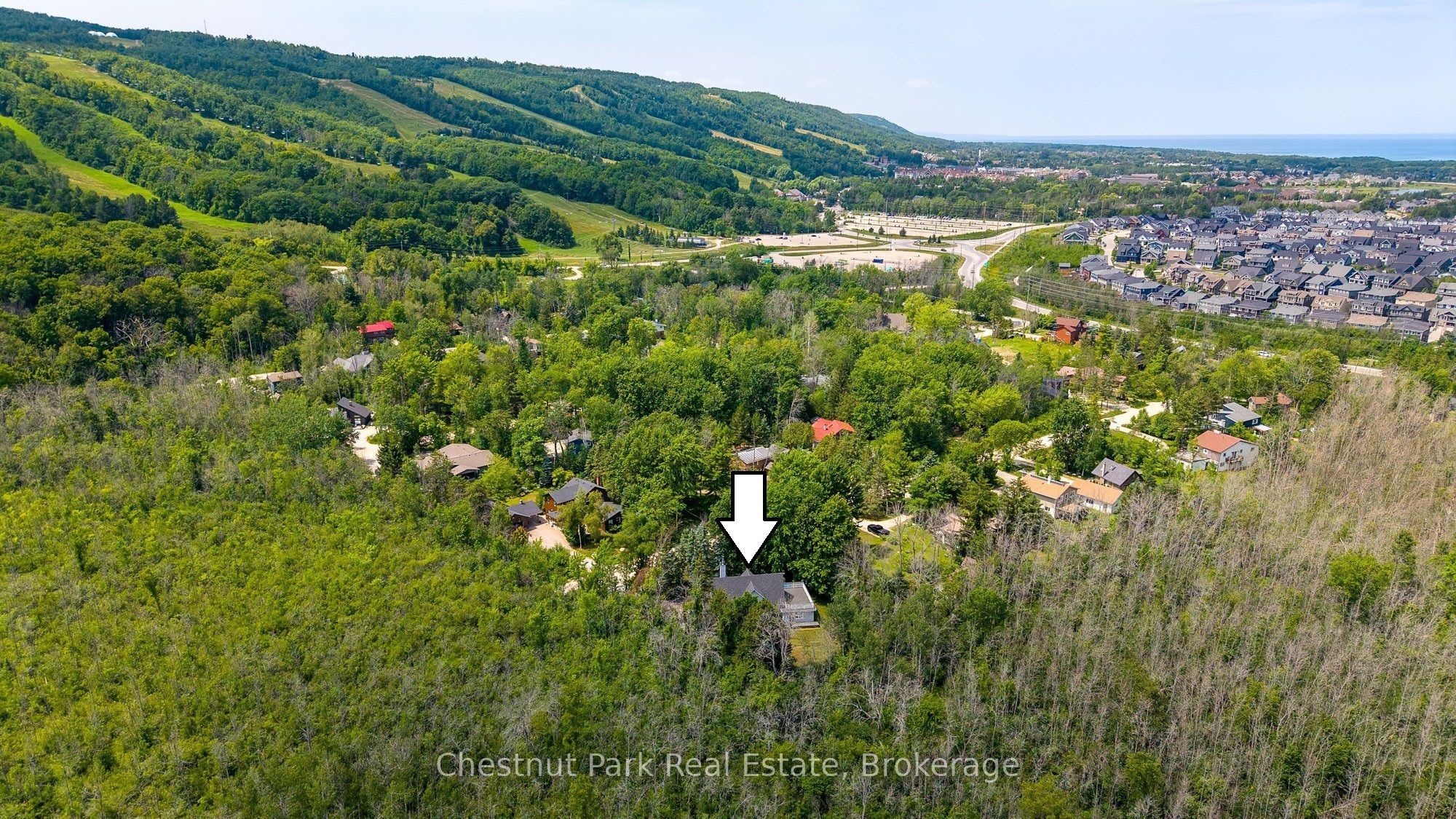 131 Martin Grove Property Photo 6