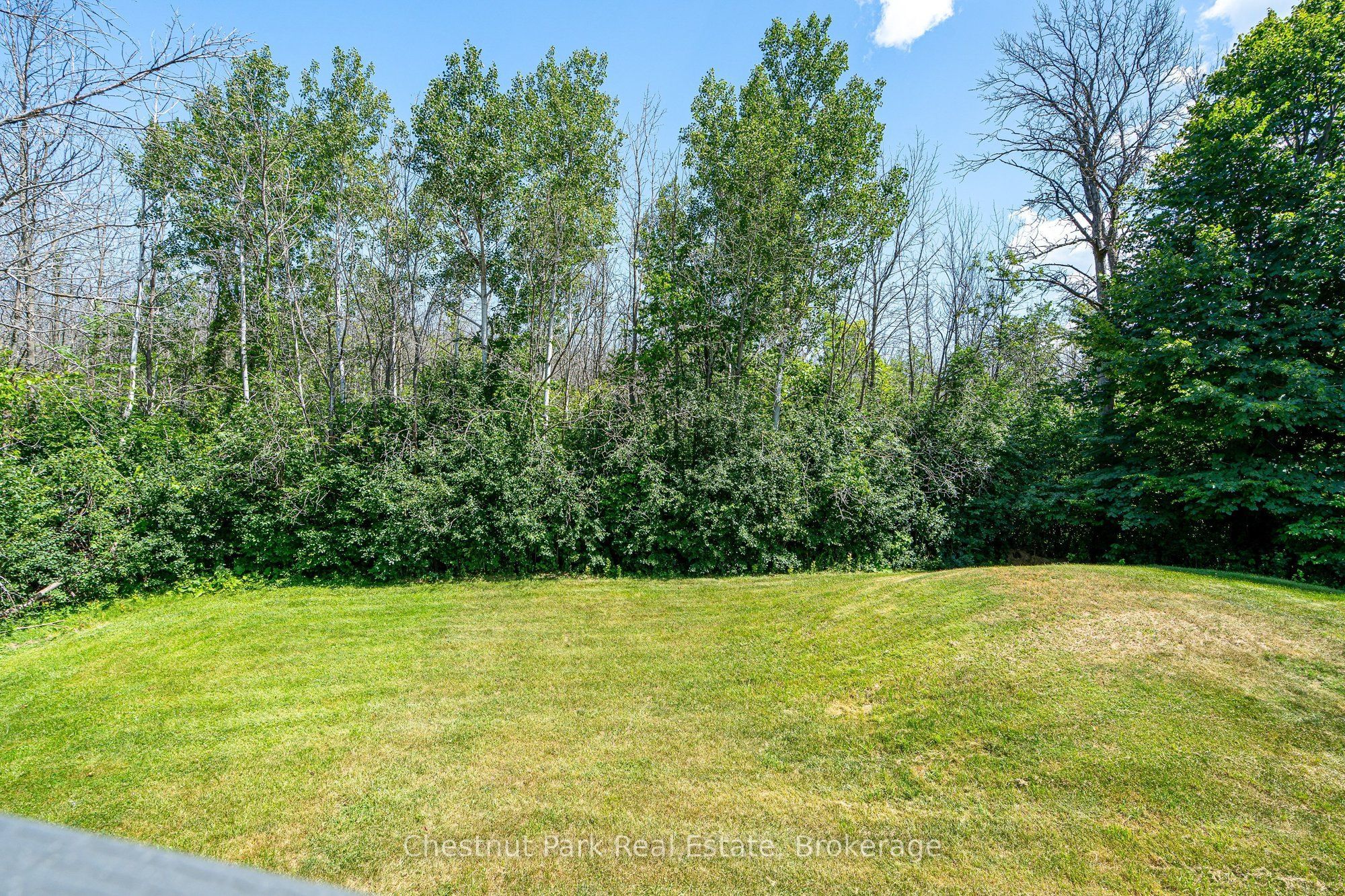 131 Martin Grove Property Photo 23