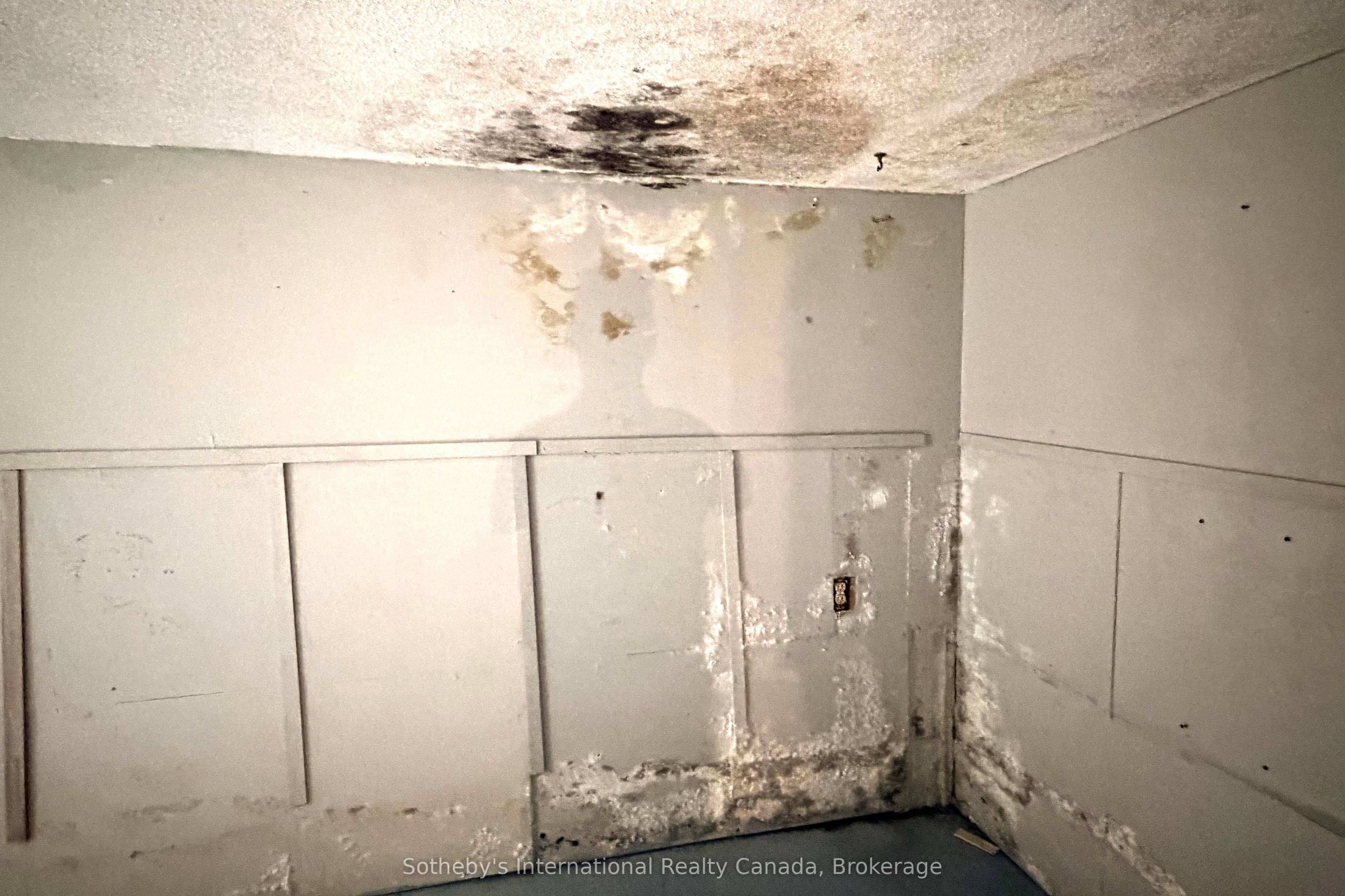 12a Valley Drive Property Photo 18