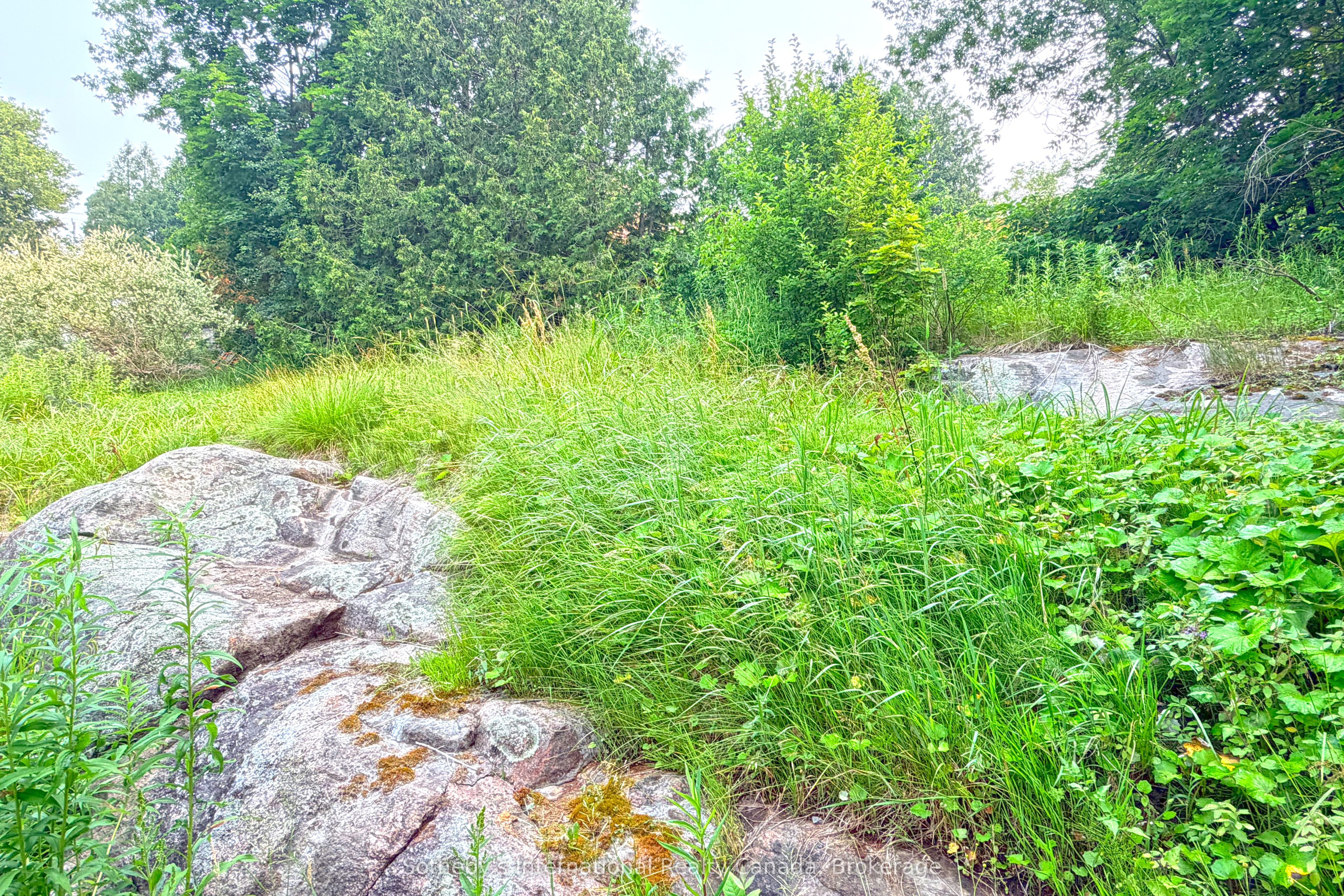 12a Valley Drive Property Photo 25