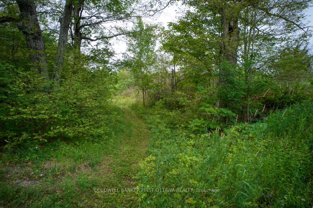 16 Grey Owl Road Property Photo 4
