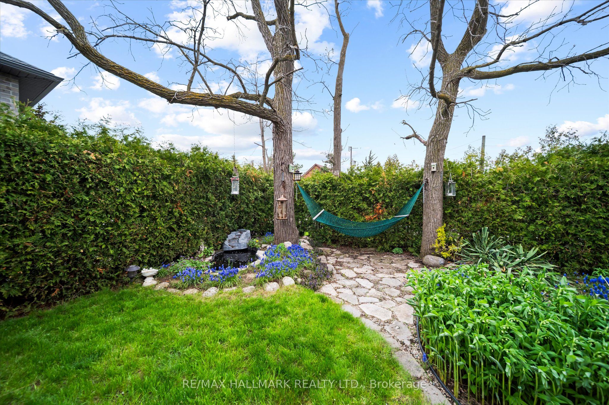 203 Jones Road Property Photo 49