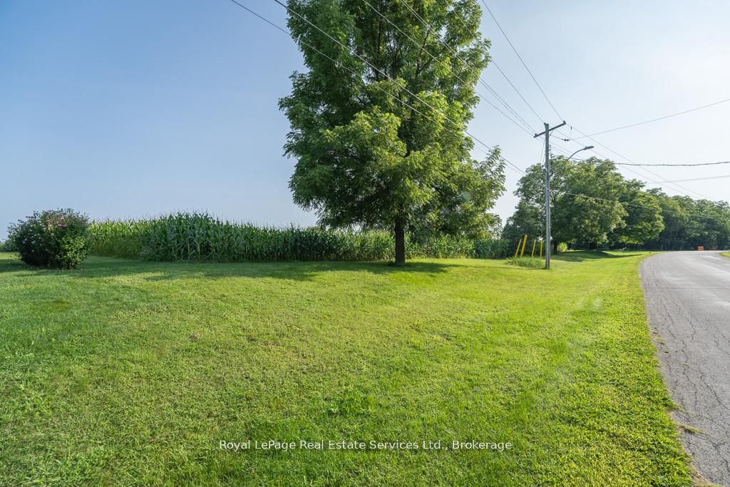 361 Robinson Road Property Photo 10