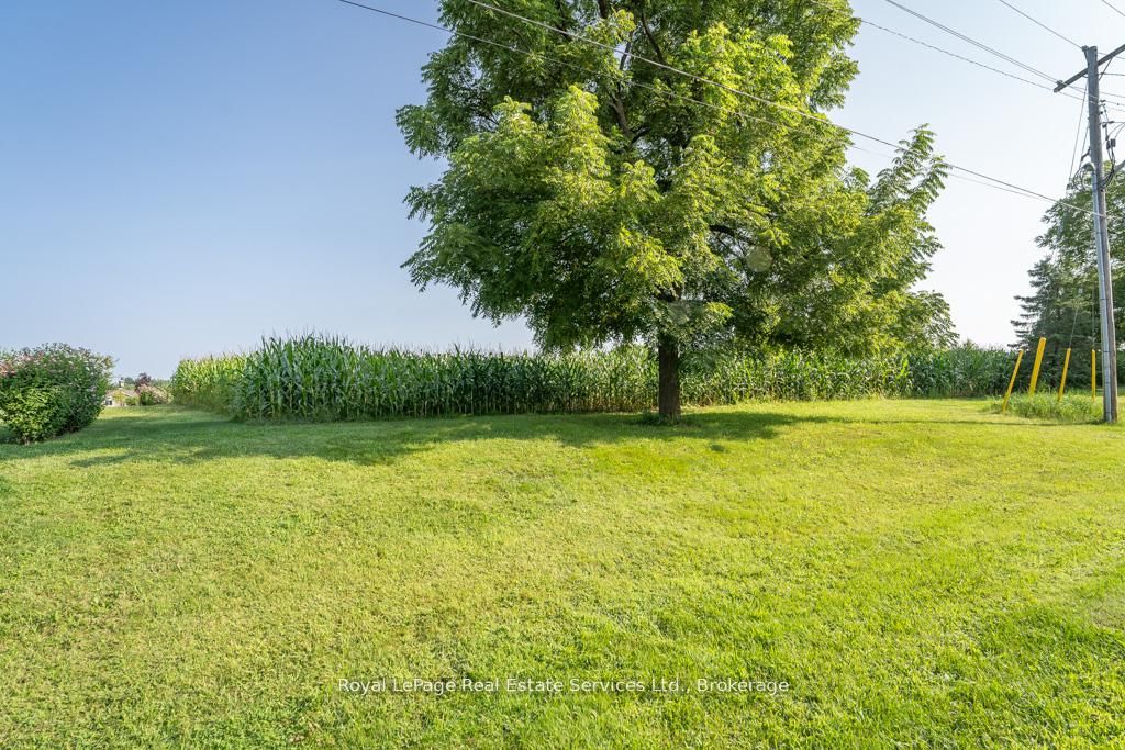 361 Robinson Road Property Photo 11