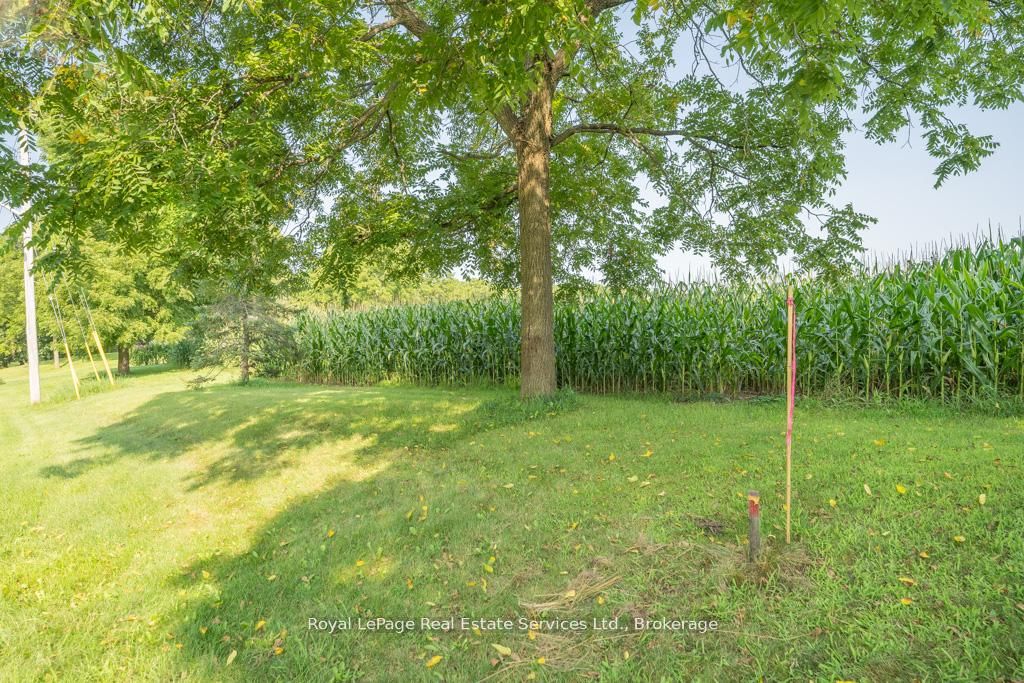361 Robinson Road Property Photo 12
