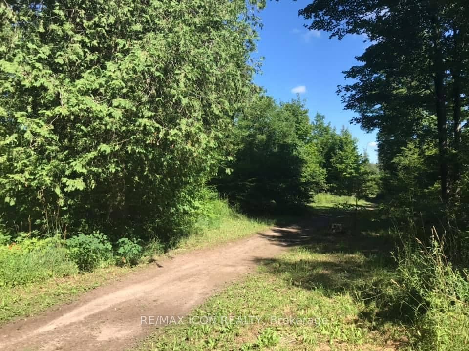Pt Lt 48 Concession 3 Road Property Photo 2