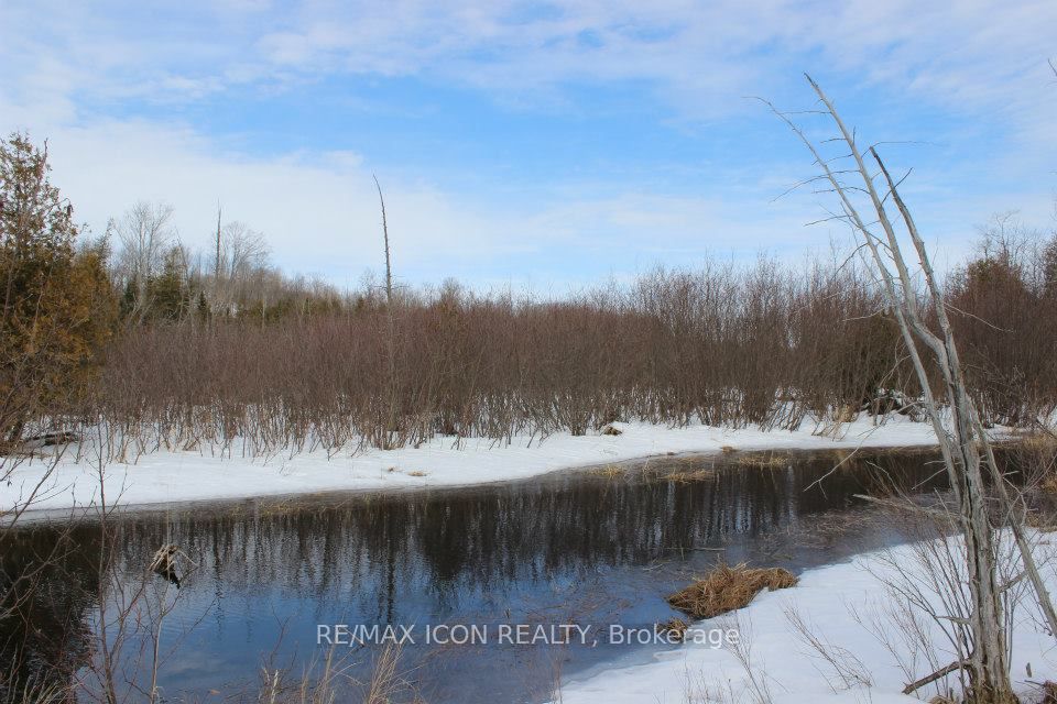 Pt Lt 48 Concession 3 Road Property Photo 3