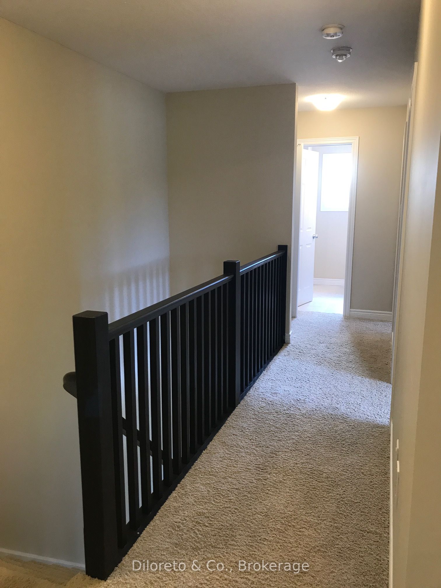 38 Mccann Street Property Photo 11