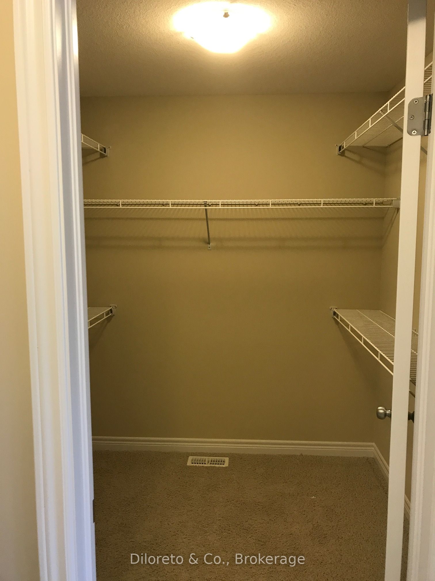 38 Mccann Street Property Photo 13