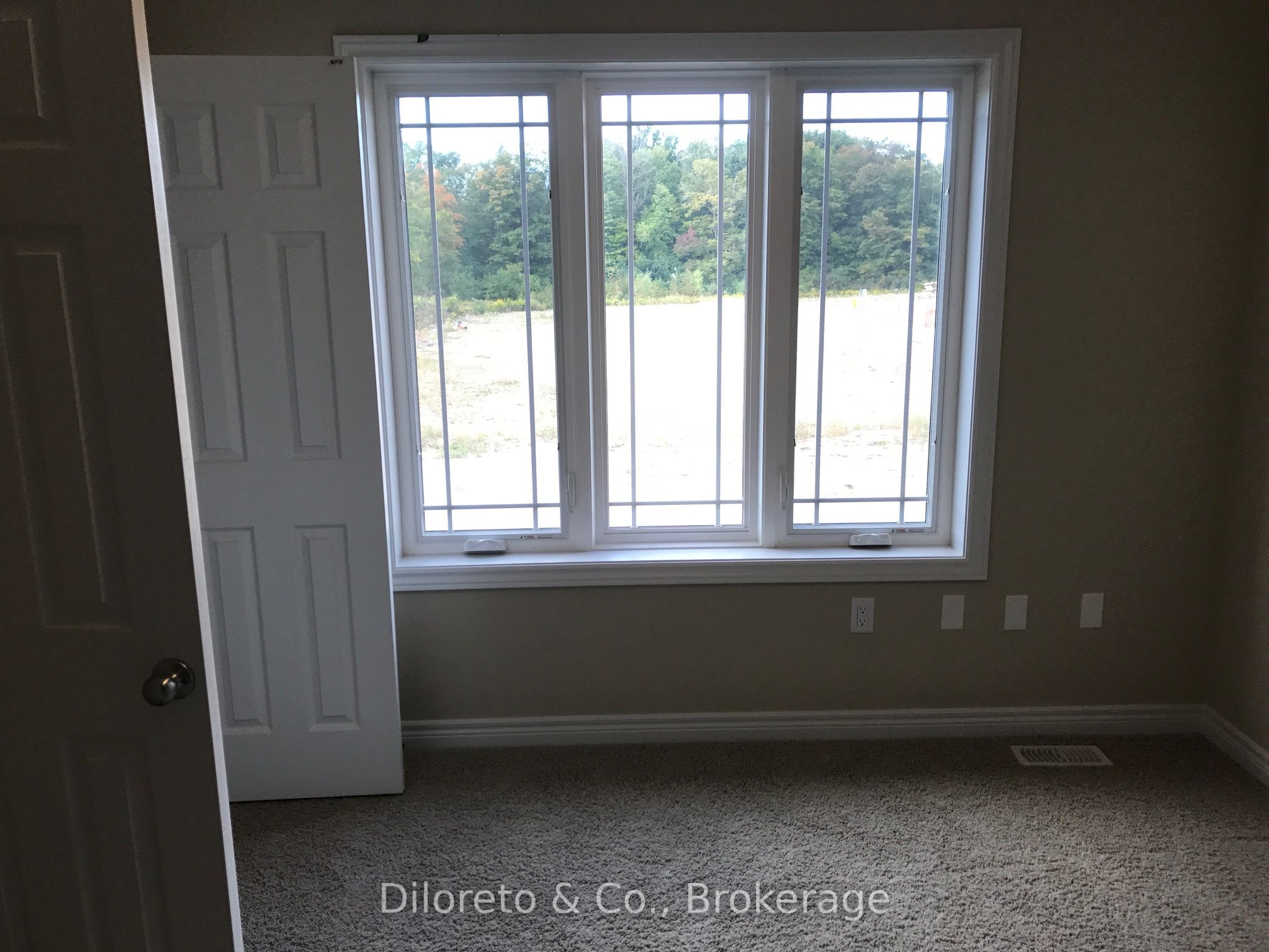 38 Mccann Street Property Photo 17